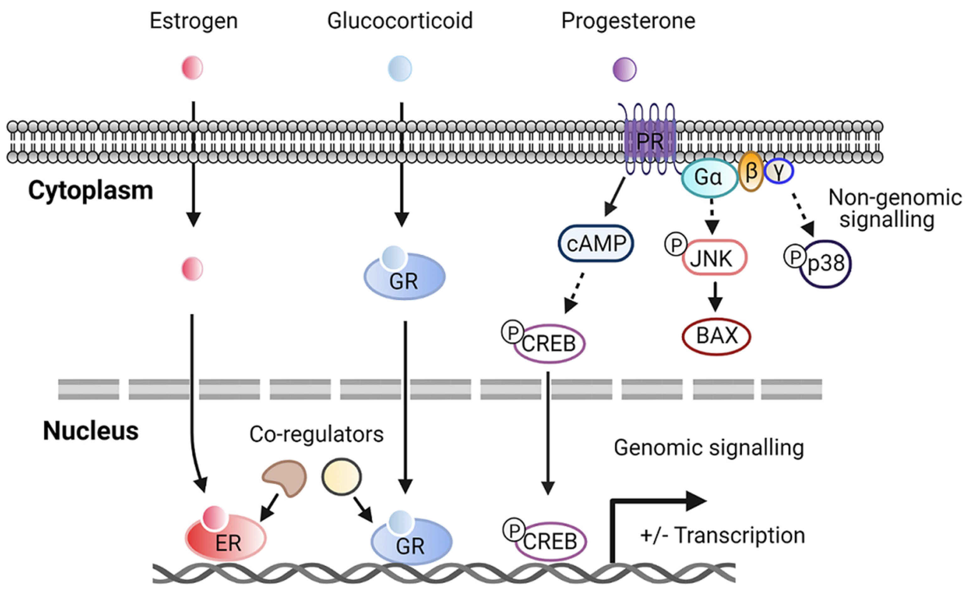 Metabolites 11 00320 g001 Metabolites 11 00320 g001