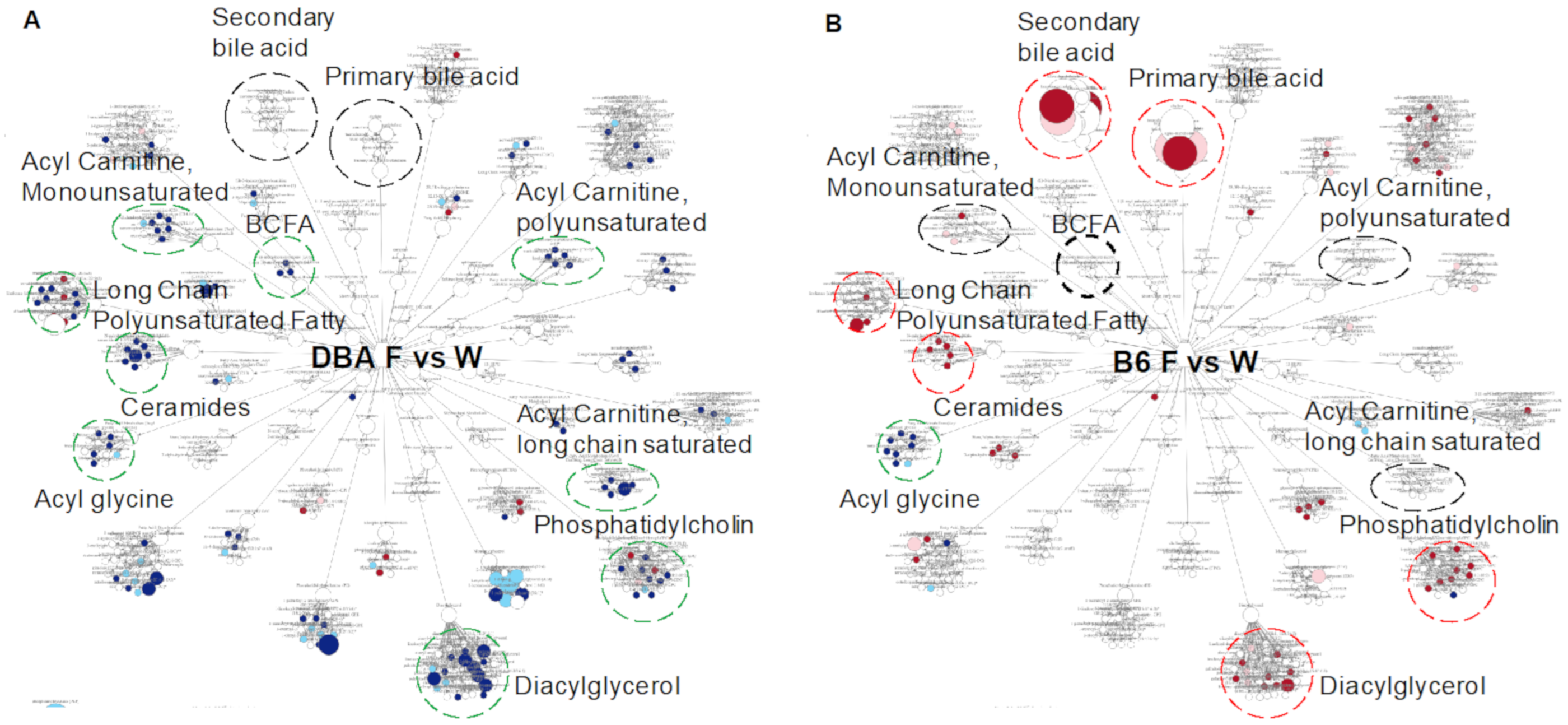 Metabolites 11 00342 g004