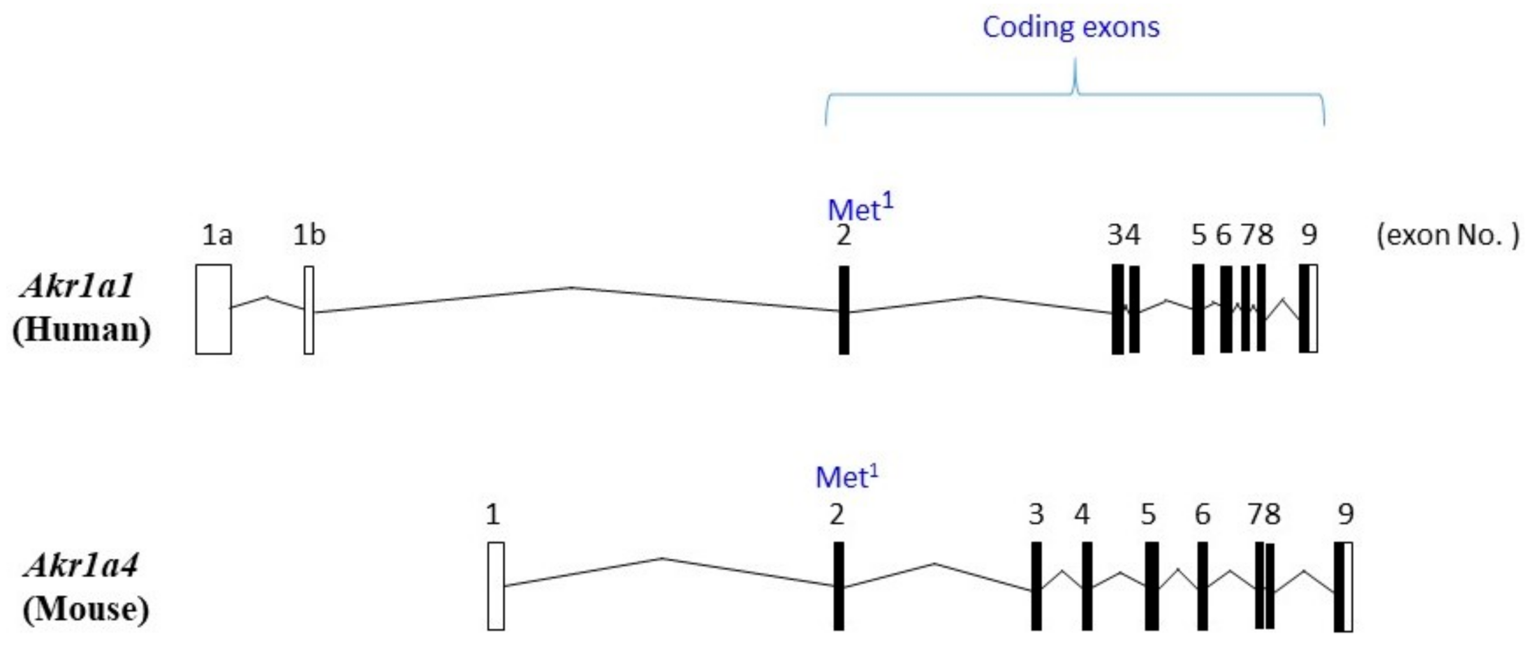 Metabolites 11 00343 g001 Metabolites 11 00343 g001