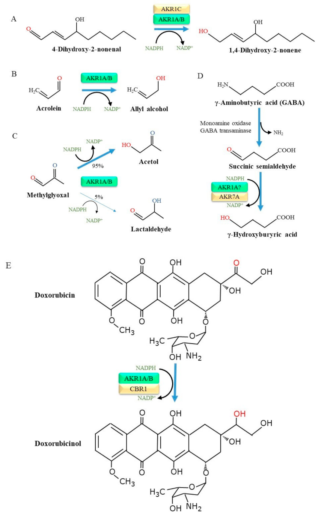 Metabolites 11 00343 g002 Metabolites 11 00343 g002