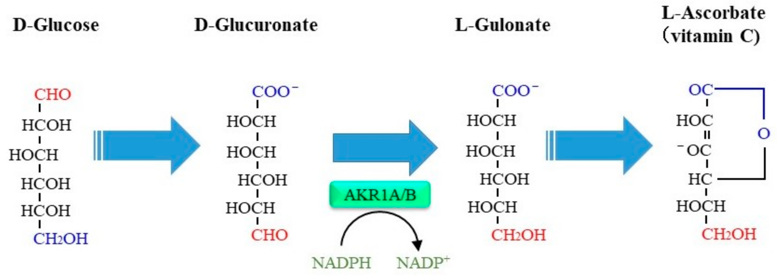 Metabolites 11 00343 g005 Metabolites 11 00343 g005