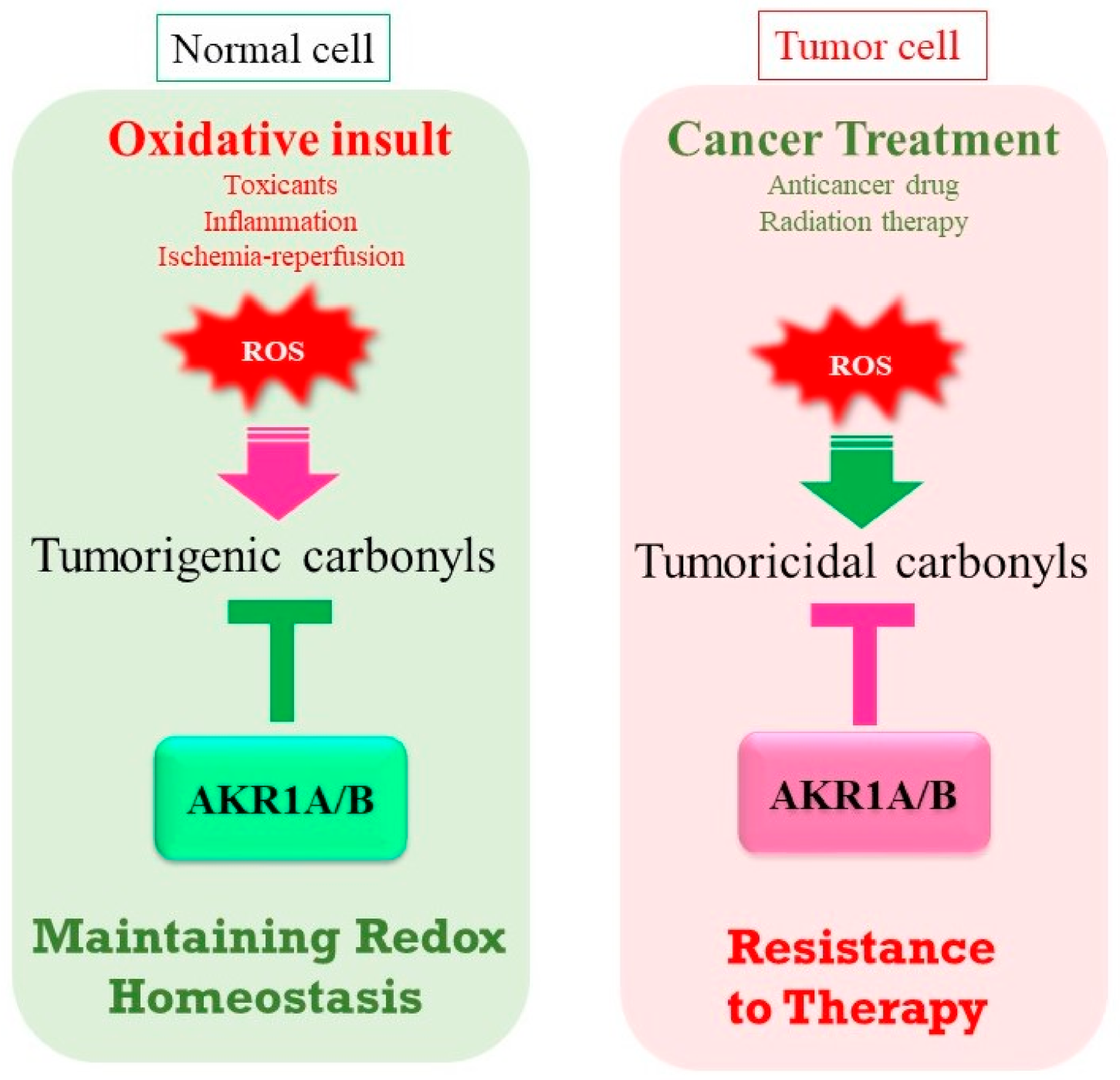 Metabolites 11 00343 g006 Metabolites 11 00343 g006