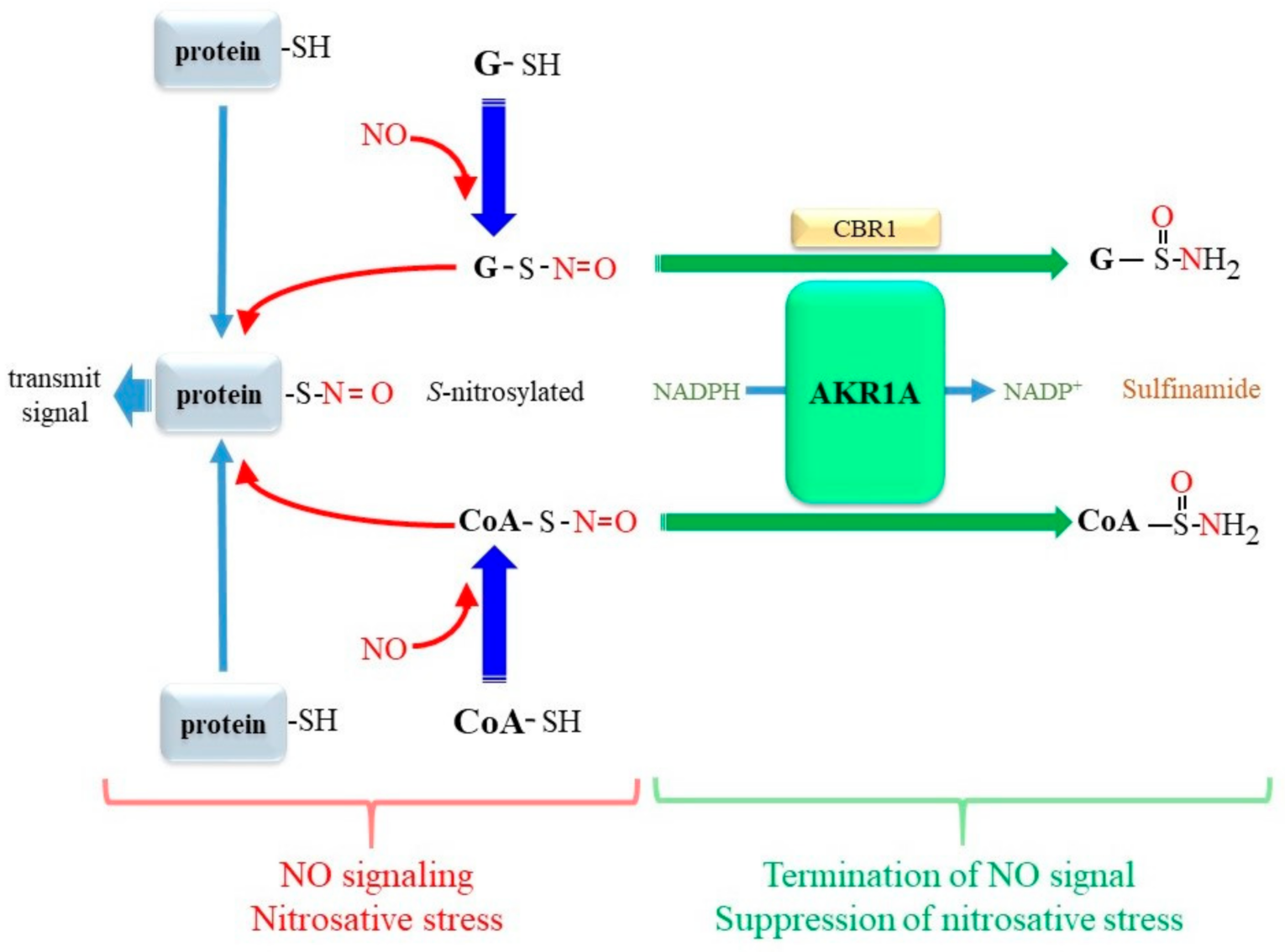 Metabolites 11 00343 g007 Metabolites 11 00343 g007