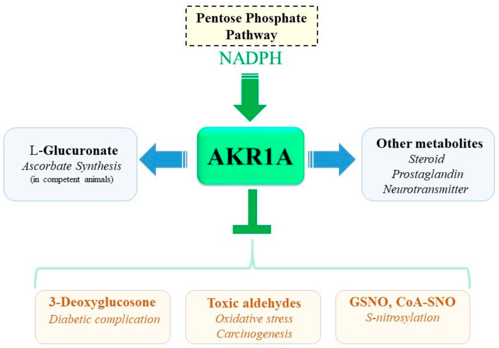 Metabolites 11 00343 g008 Metabolites 11 00343 g008