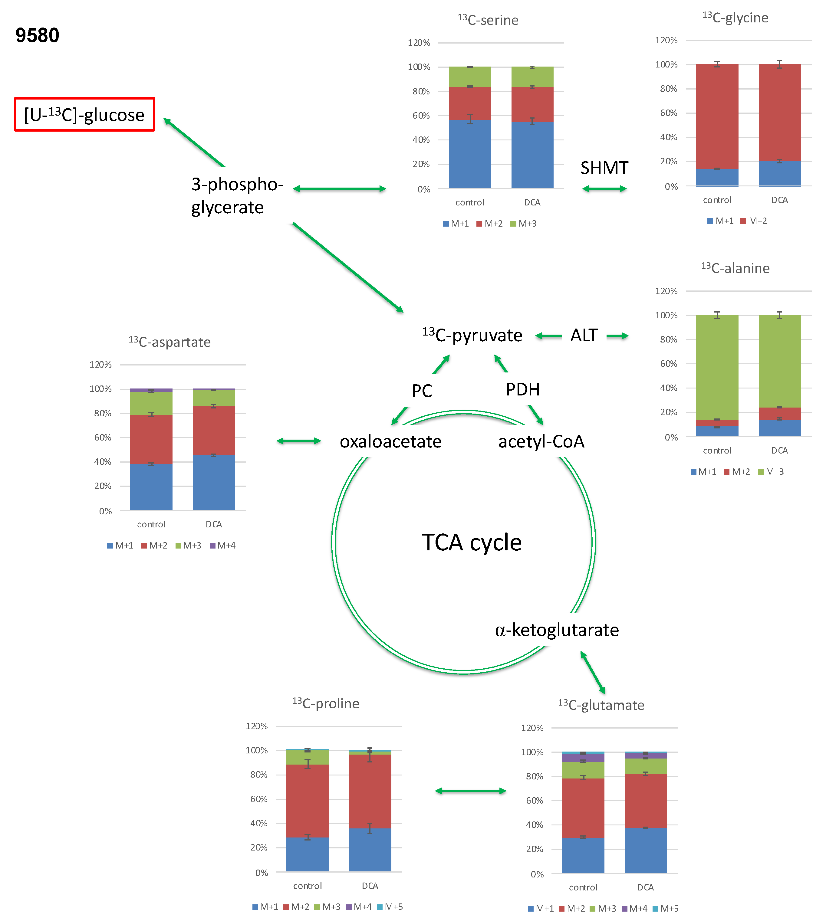 Metabolites 11 00350 g004