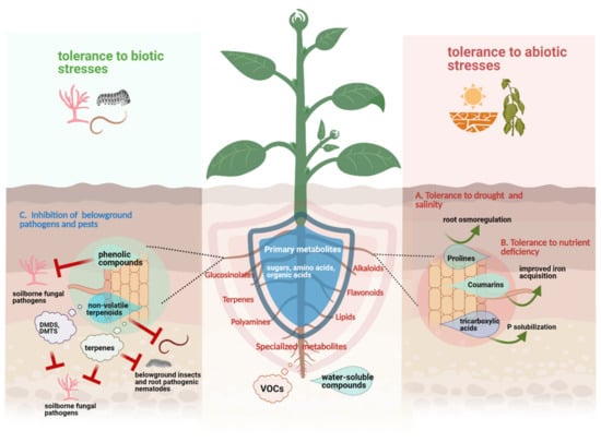 Full article: Plant Volatiles: Recent Advances and Future Perspectives