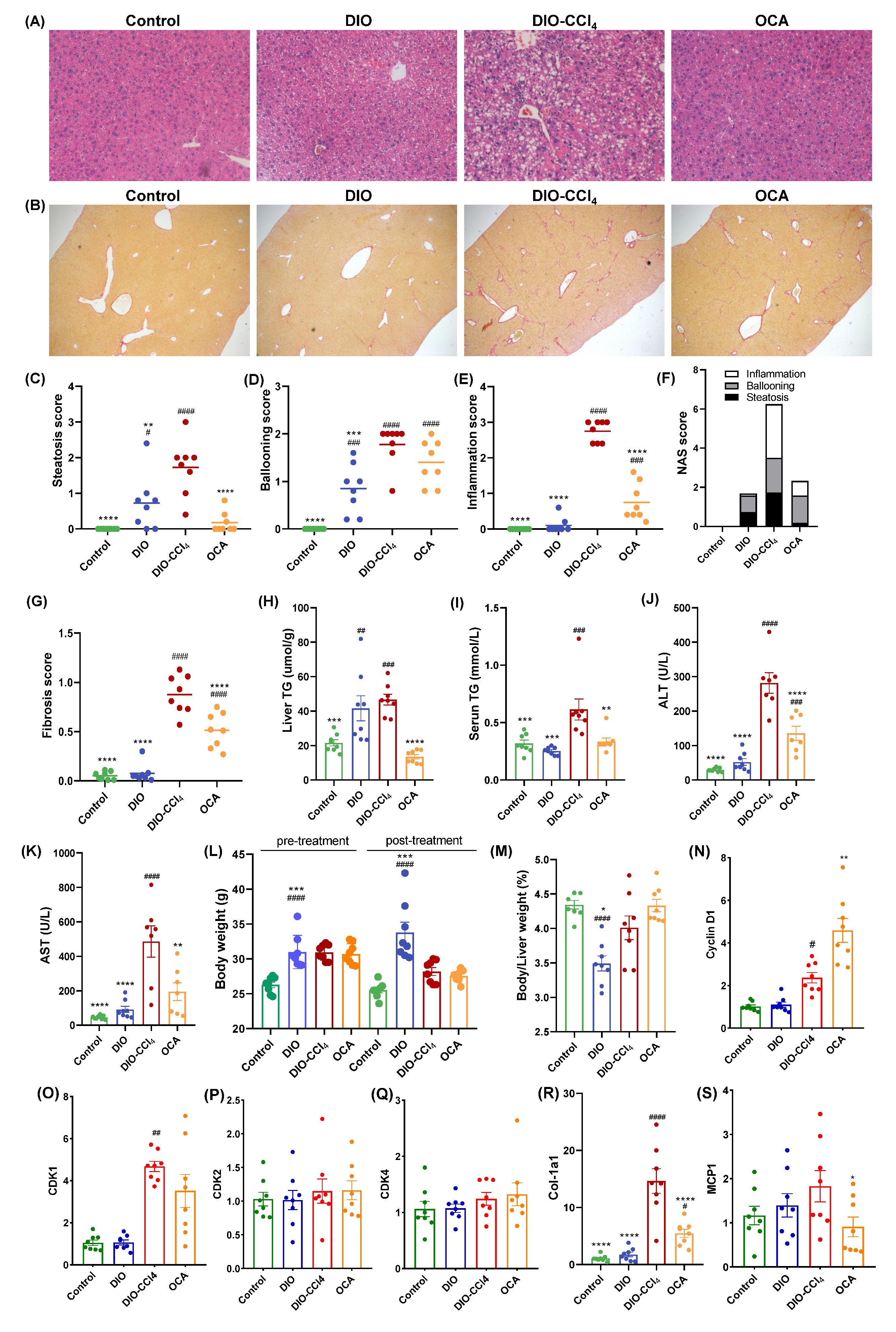 Metabolites 11 00374 g001