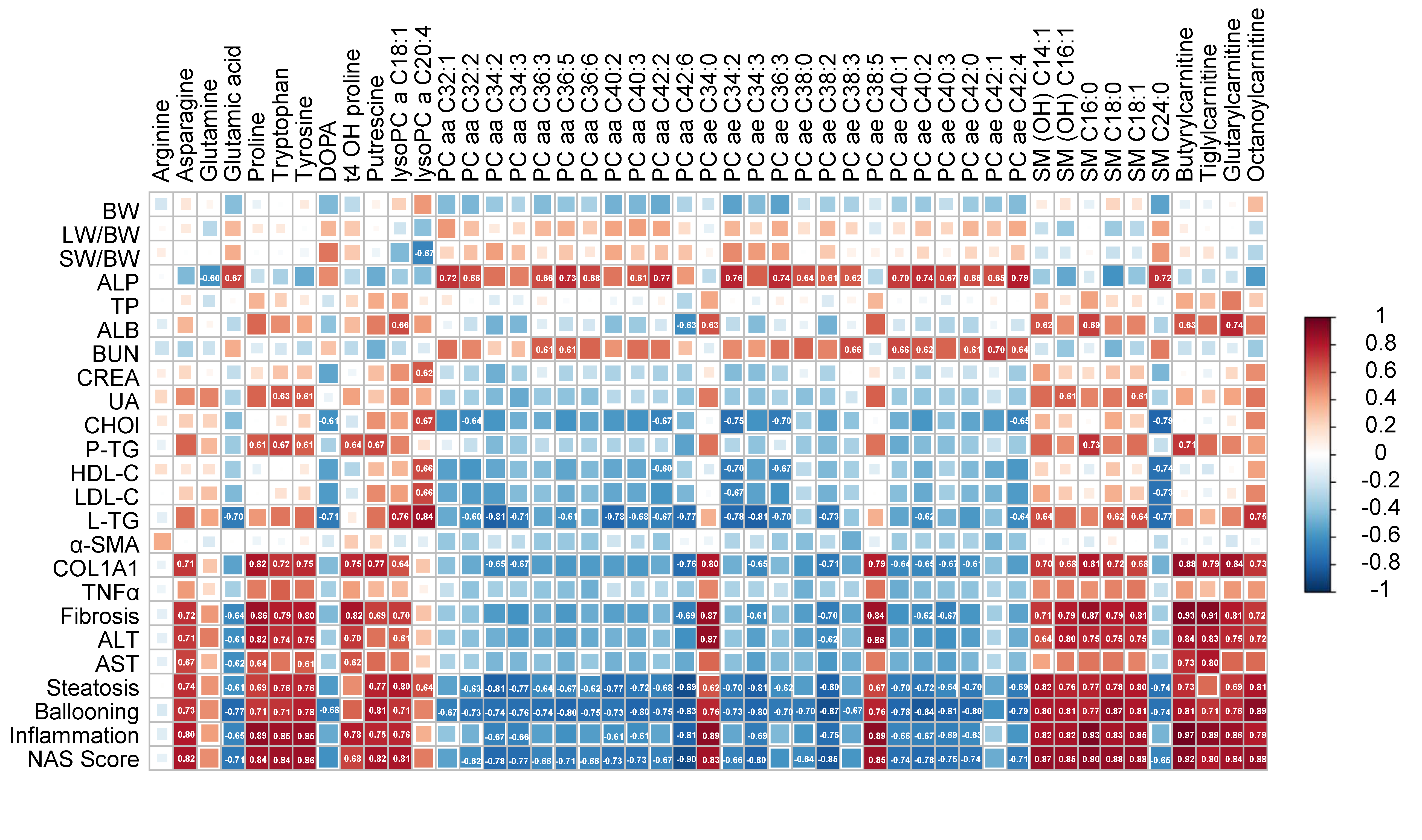 Metabolites 11 00374 g006