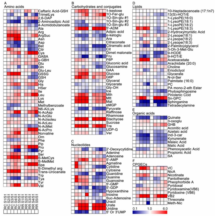 Metabolites 11 00377 g002