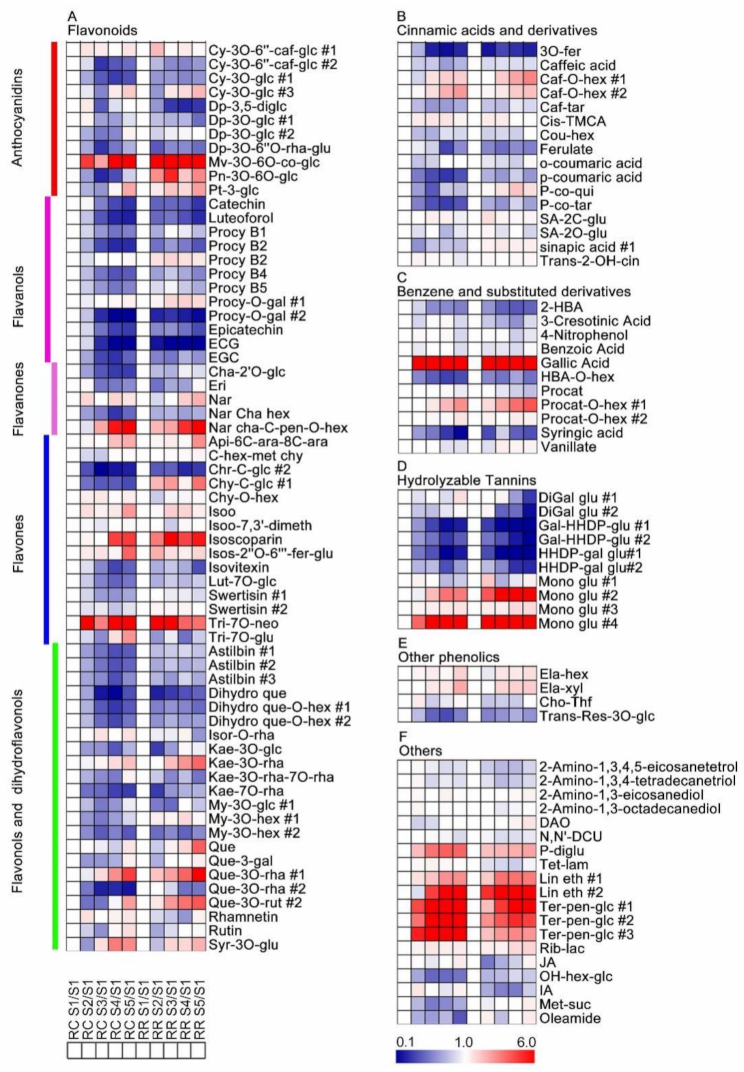 Metabolites 11 00377 g003