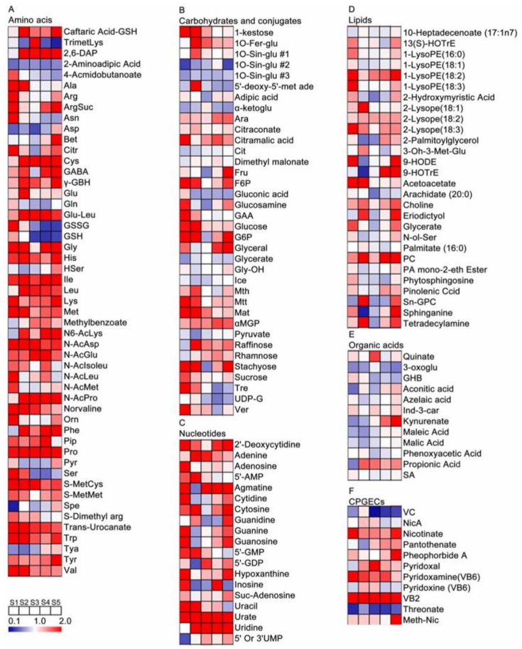 Metabolites 11 00377 g004
