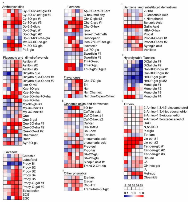 Metabolites 11 00377 g005