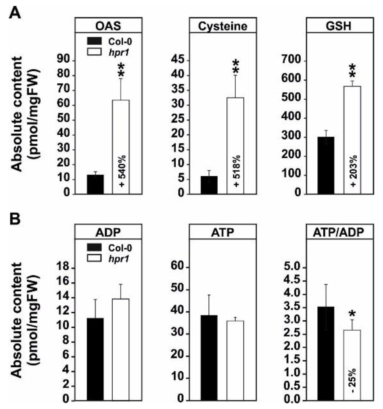Metabolites 11 00391 g003
