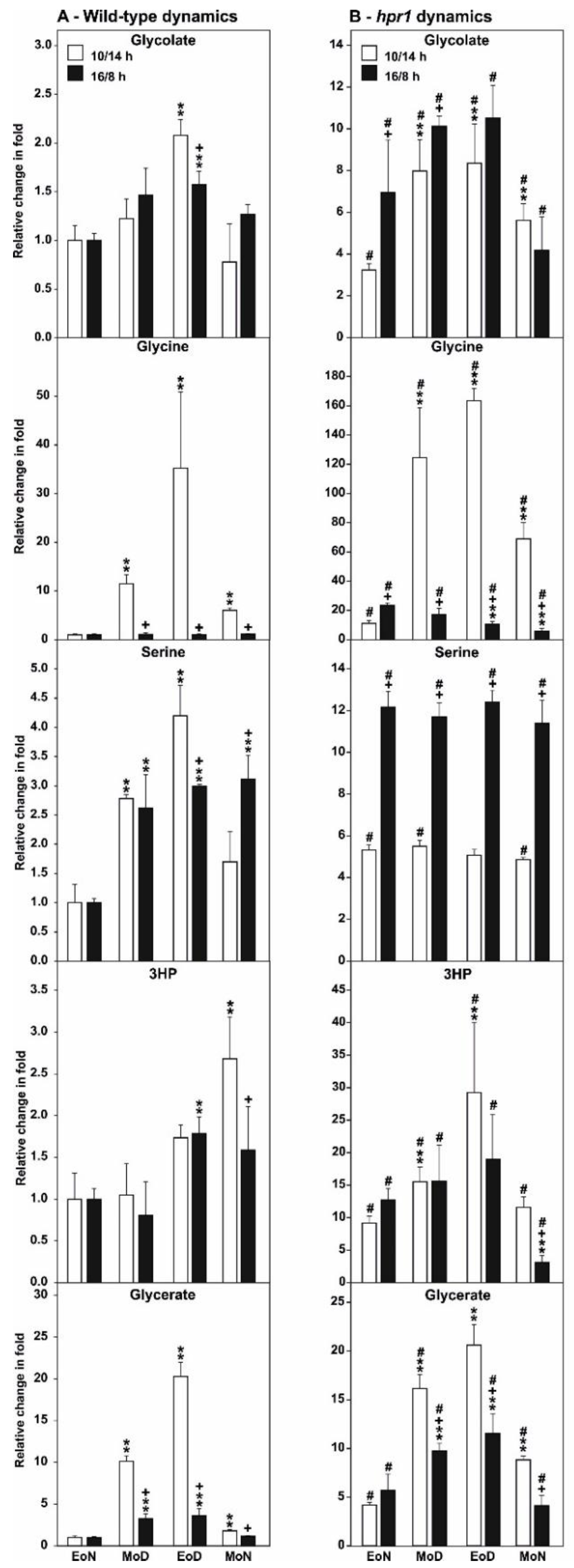 Metabolites 11 00391 g006