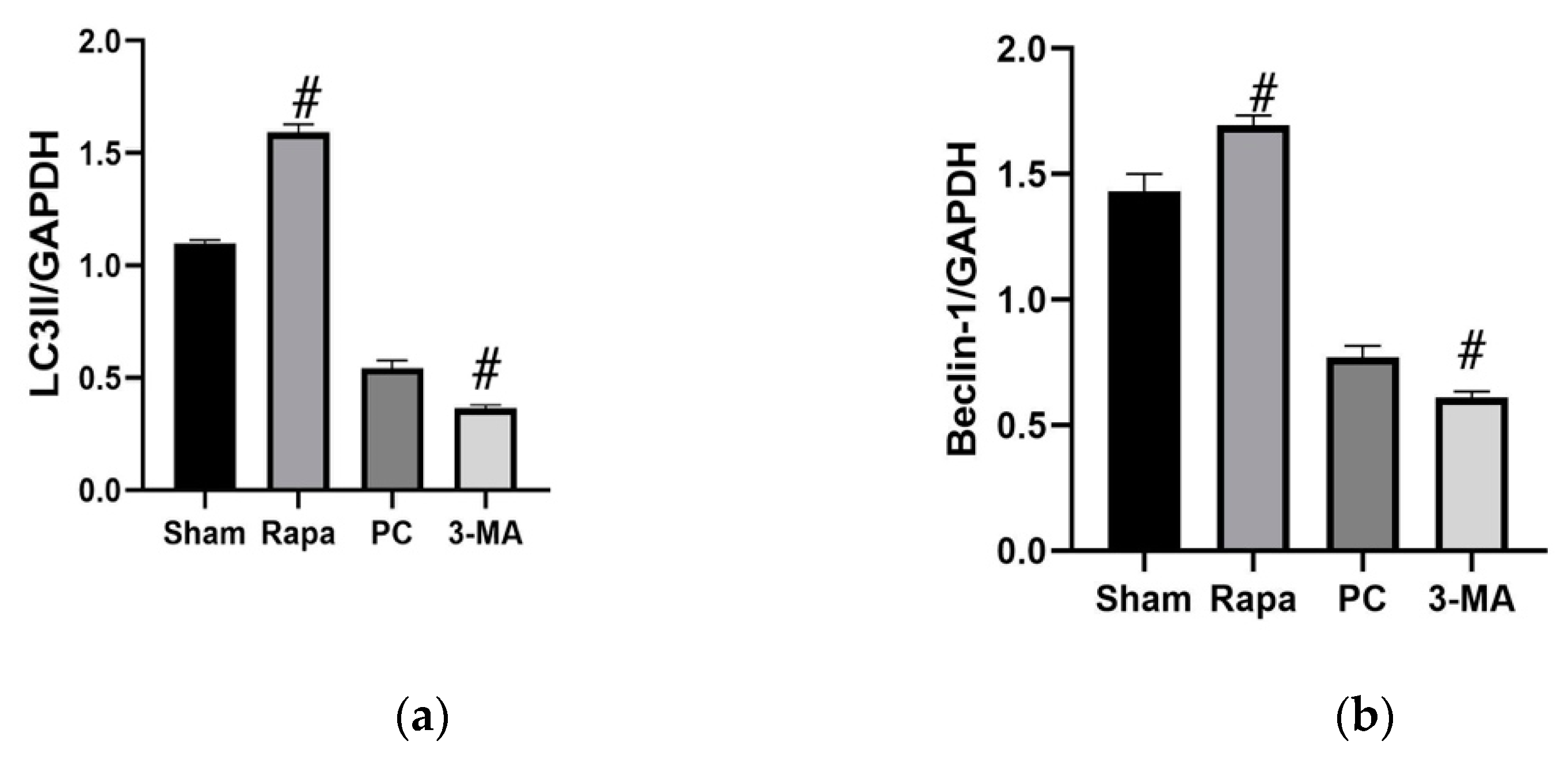 Metabolites 11 00396 g004 Metabolites 11 00396 g004