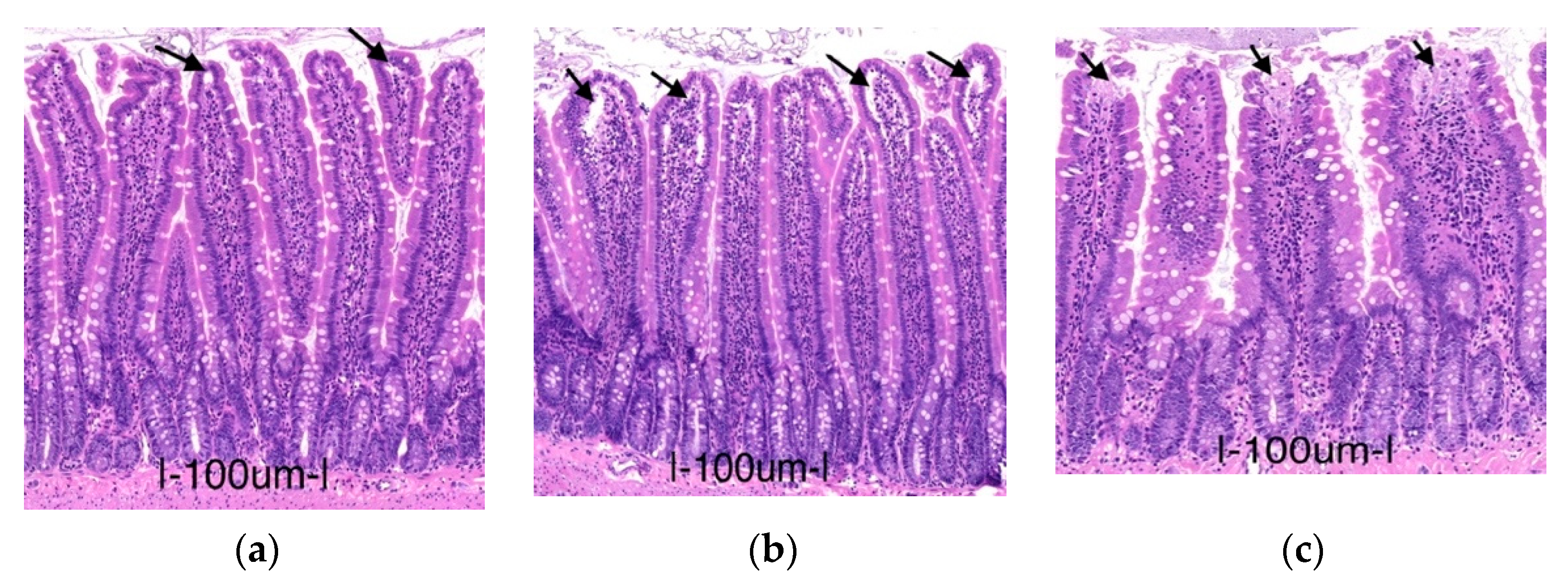 Metabolites 11 00396 g006 Metabolites 11 00396 g006