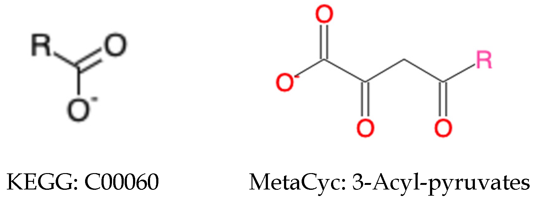 Metabolites 11 00431 g002