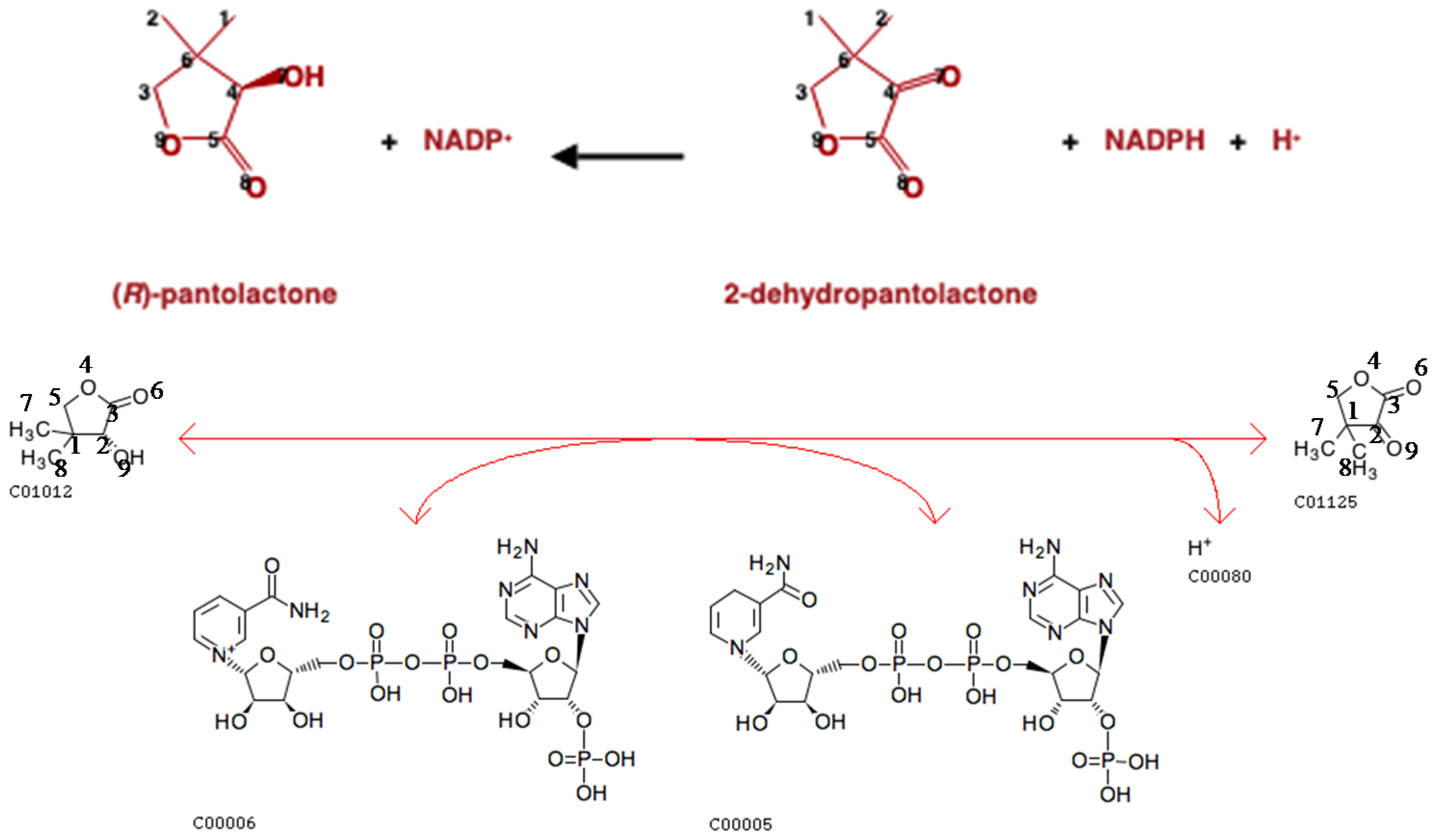 Metabolites 11 00431 g007