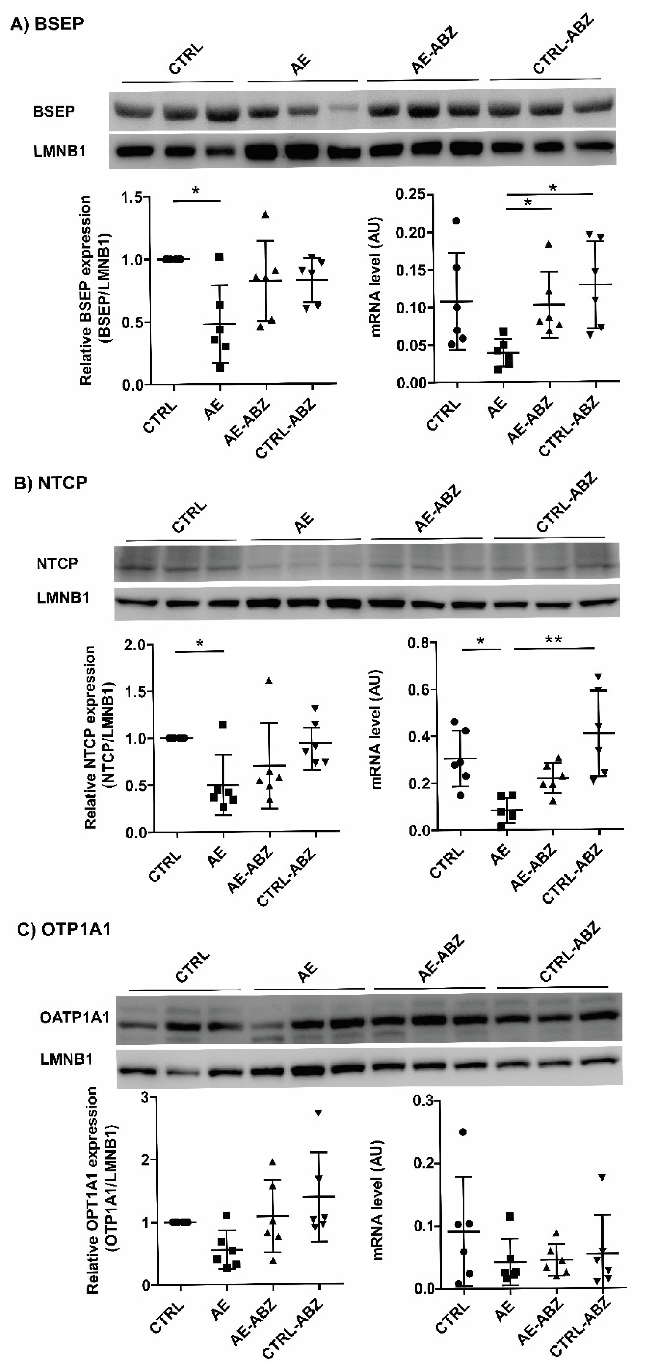 Metabolites 11 00442 g004 Metabolites 11 00442 g004