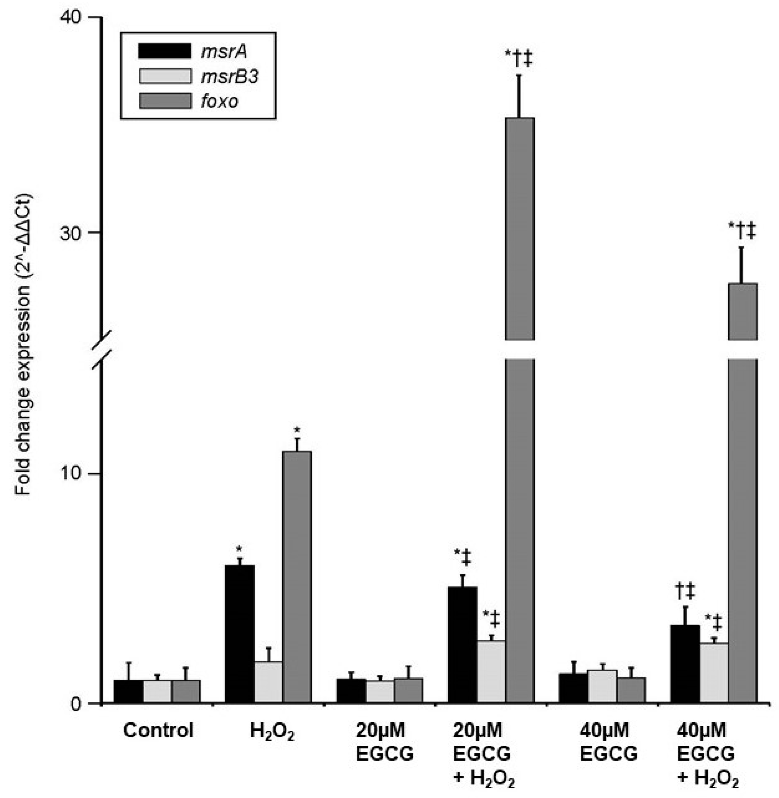 Metabolites 11 00458 g003 Metabolites 11 00458 g003