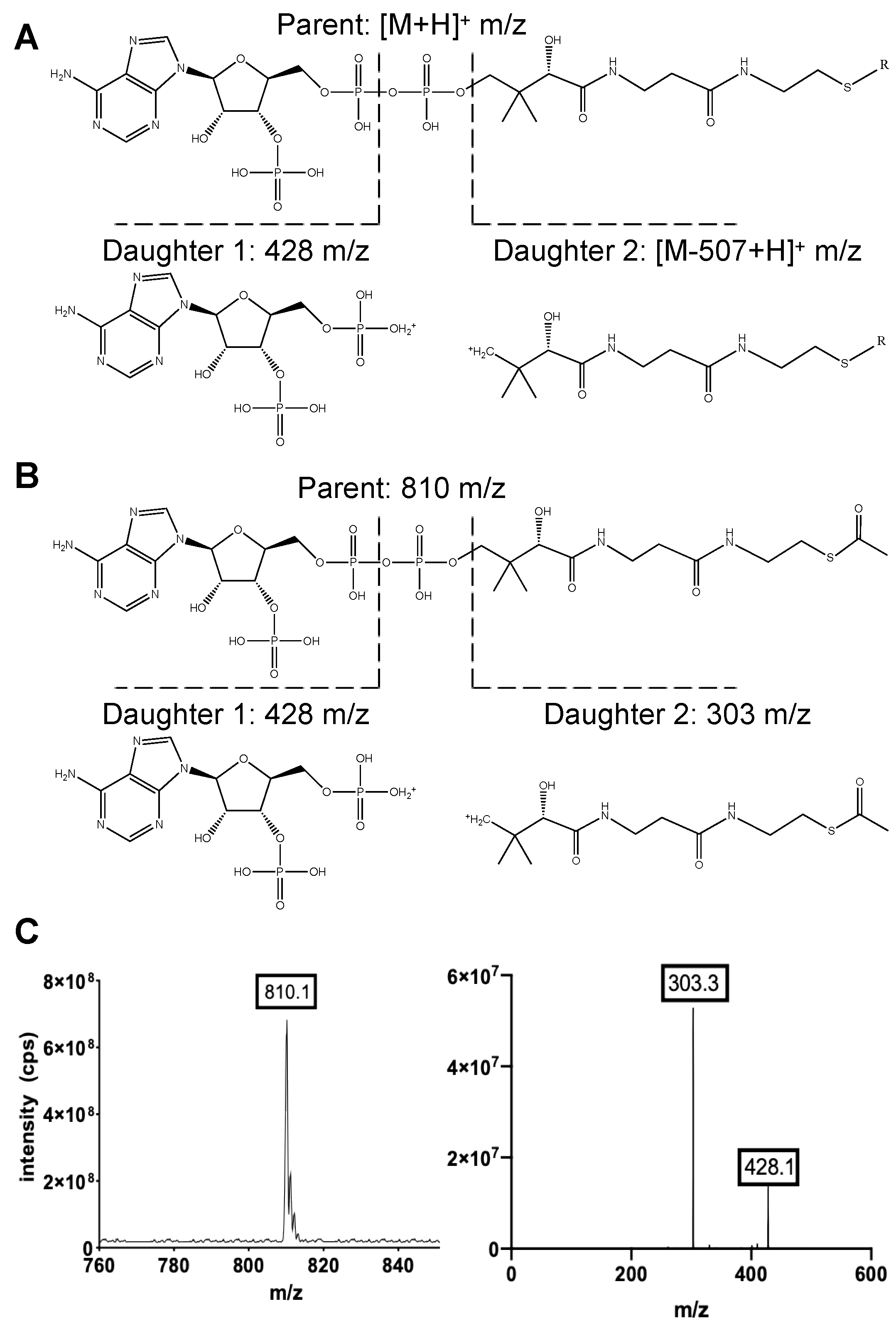 Metabolites 11 00468 g002