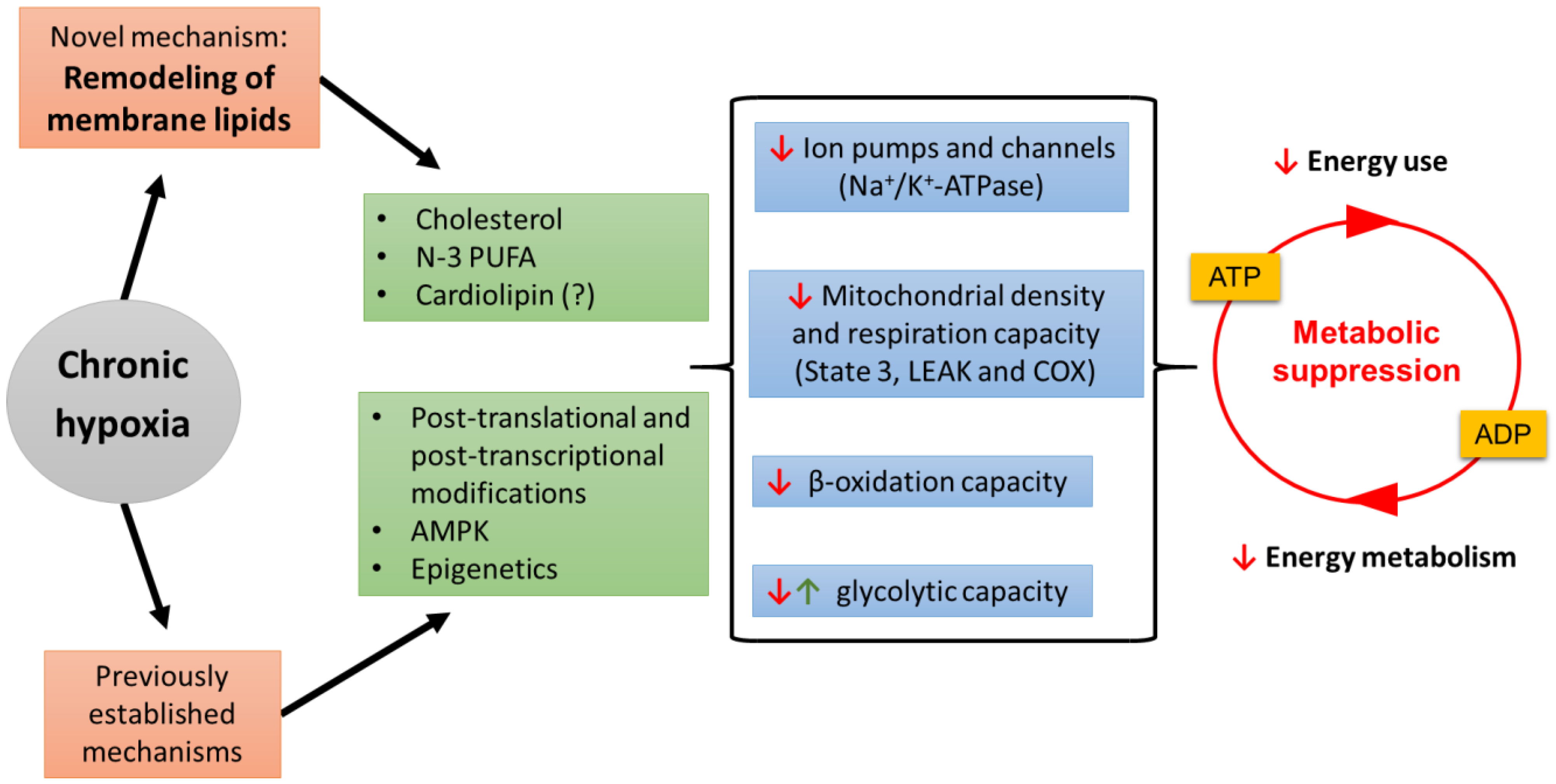 Metabolites 11 00503 g003