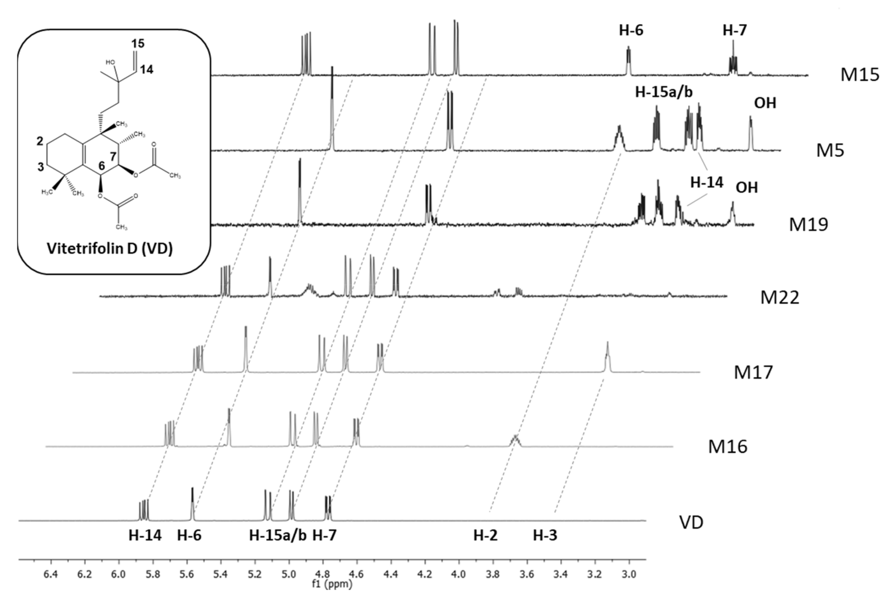 Metabolites 11 00529 g003