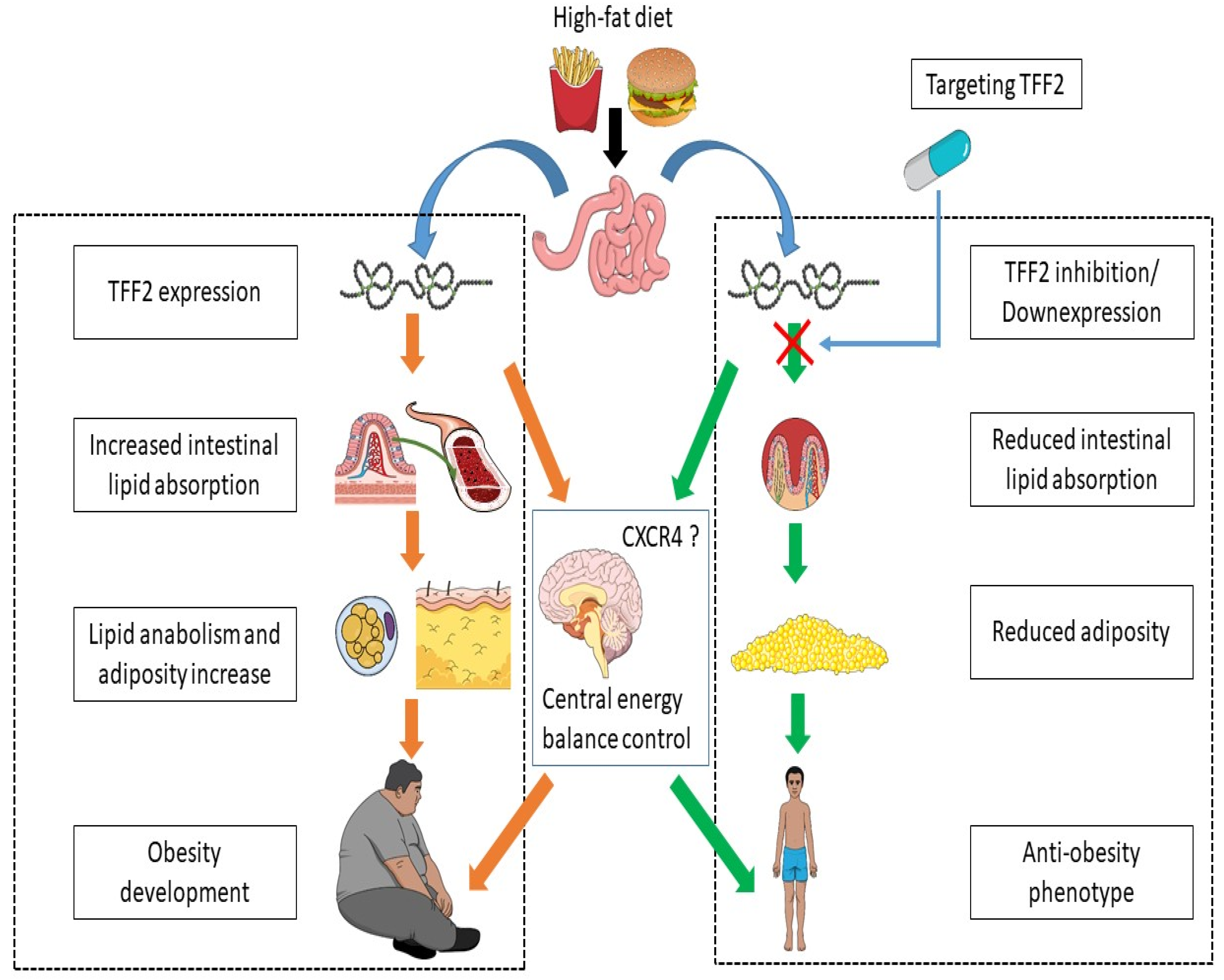 Metabolites 11 00536 g002 Metabolites 11 00536 g002