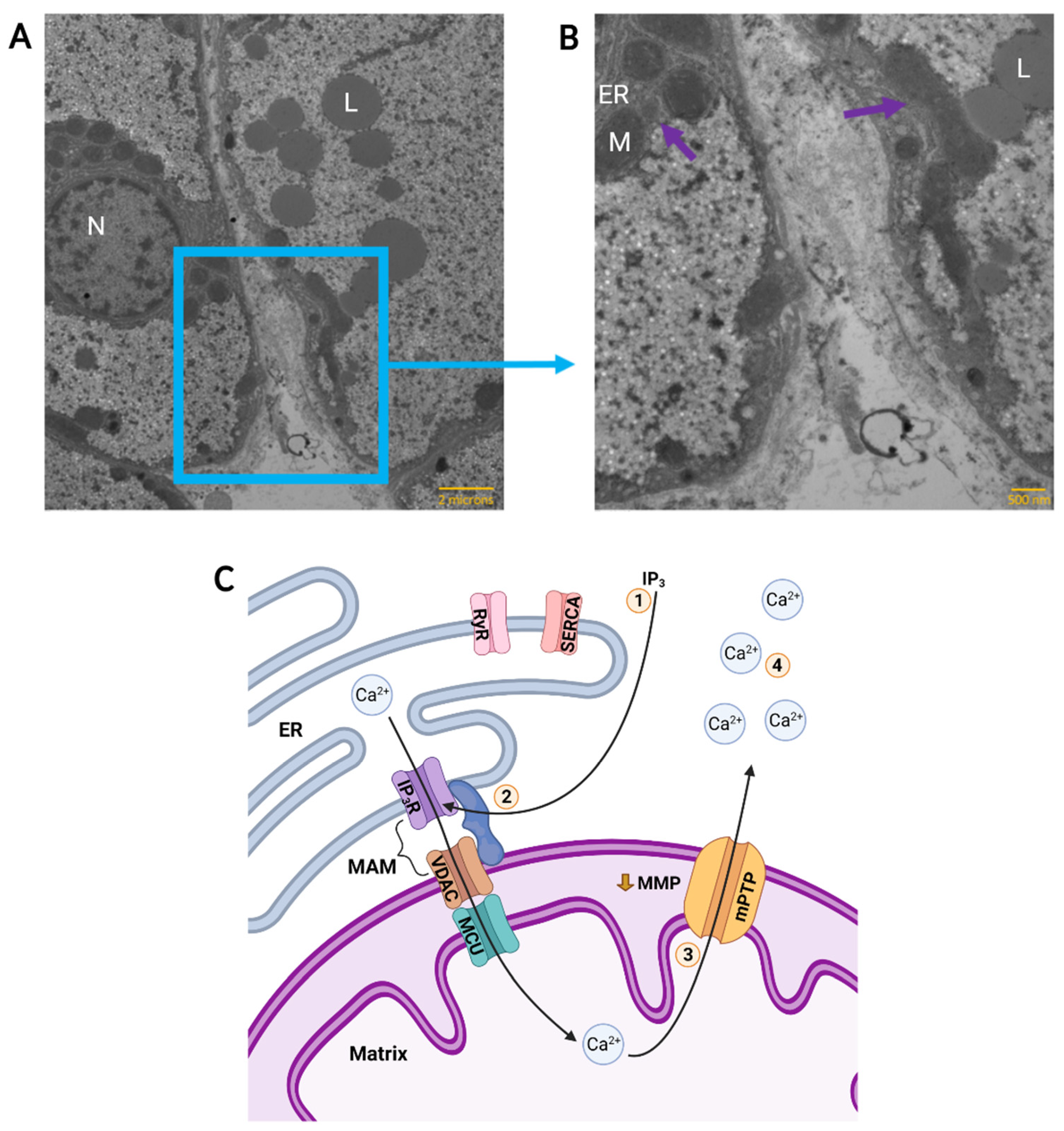 Metabolites 11 00561 g002
