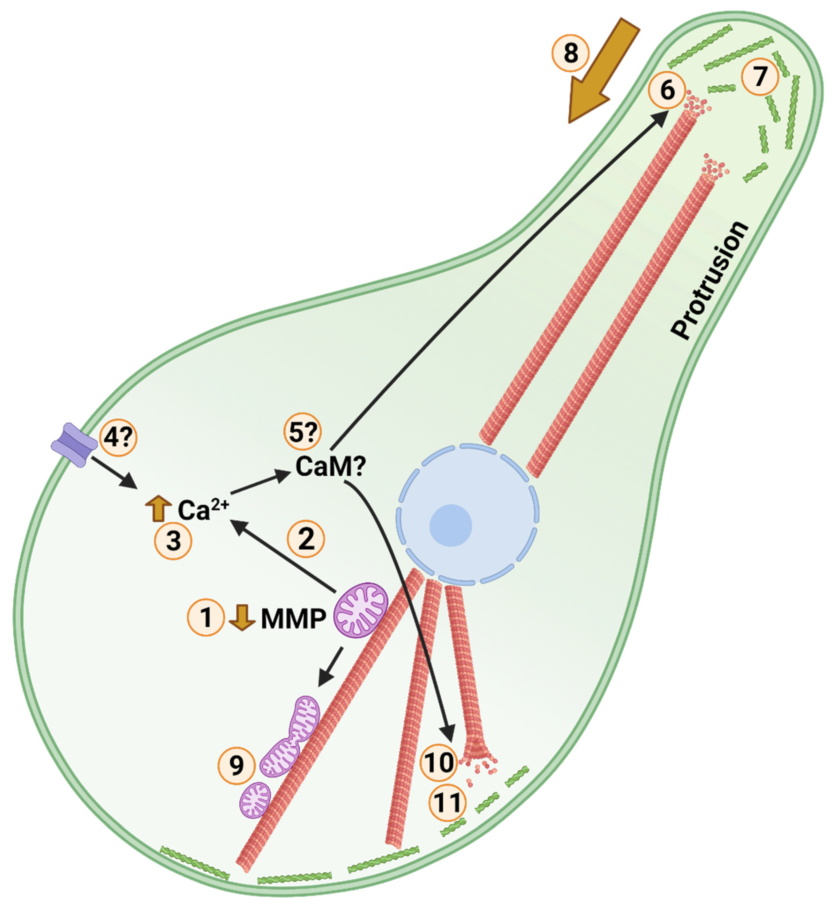 Metabolites 11 00561 g004
