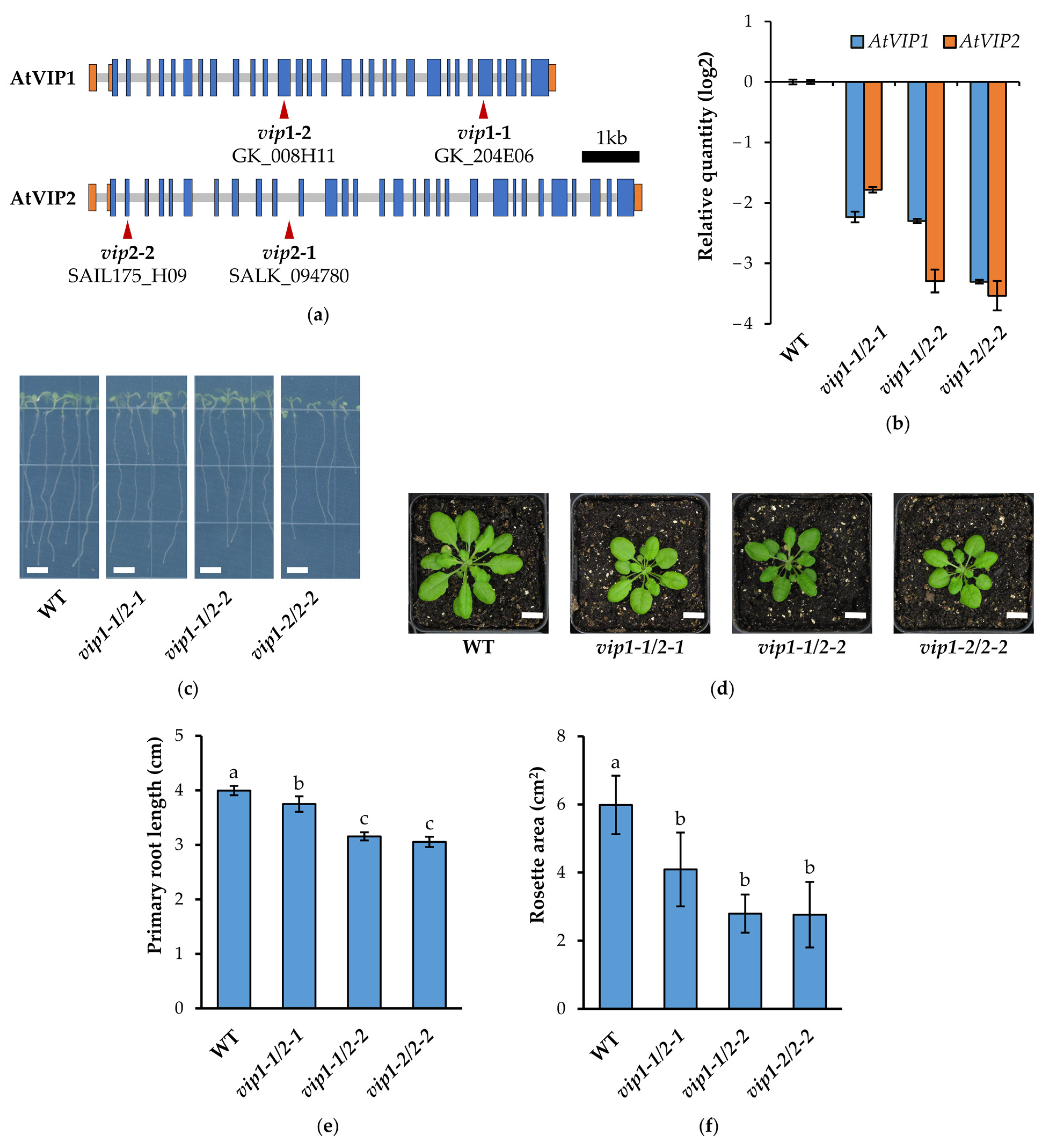 Metabolites 11 00601 g001