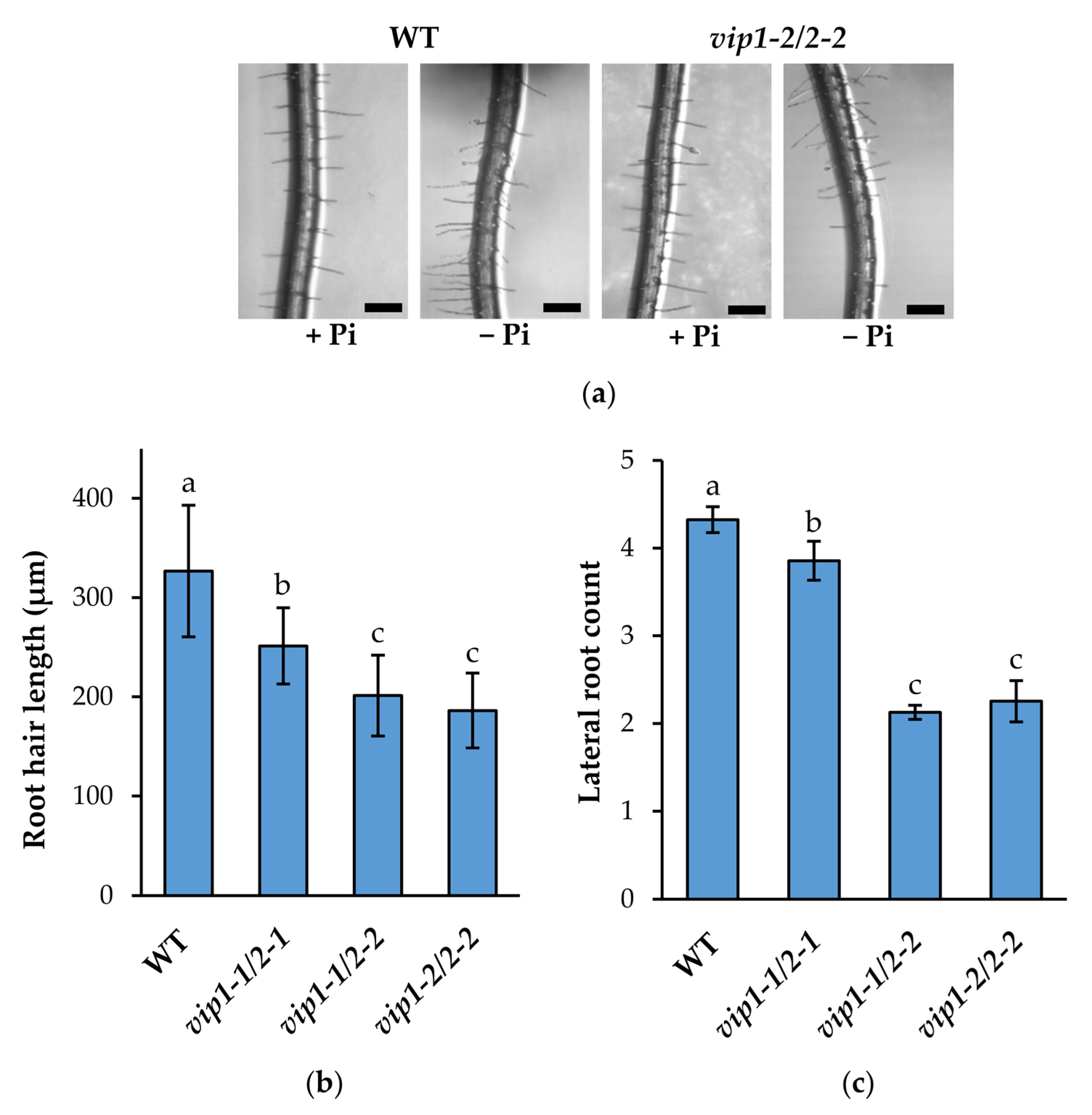 Metabolites 11 00601 g004