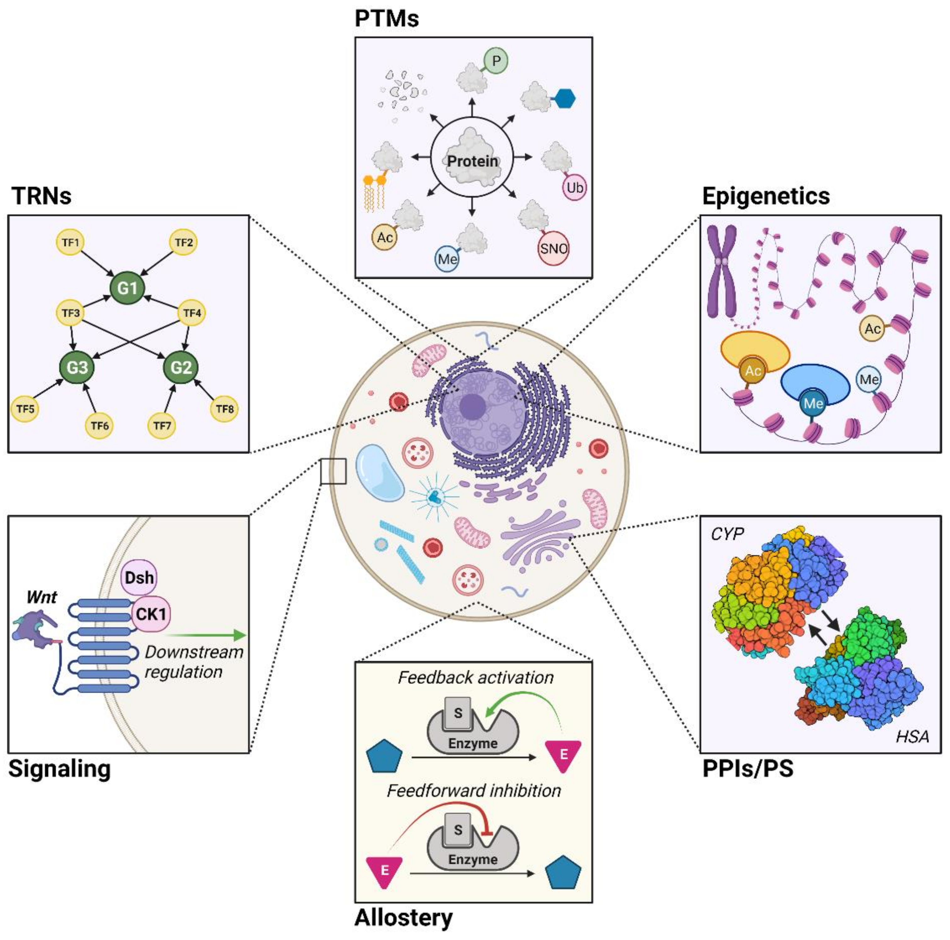 Metabolites 11 00606 g001