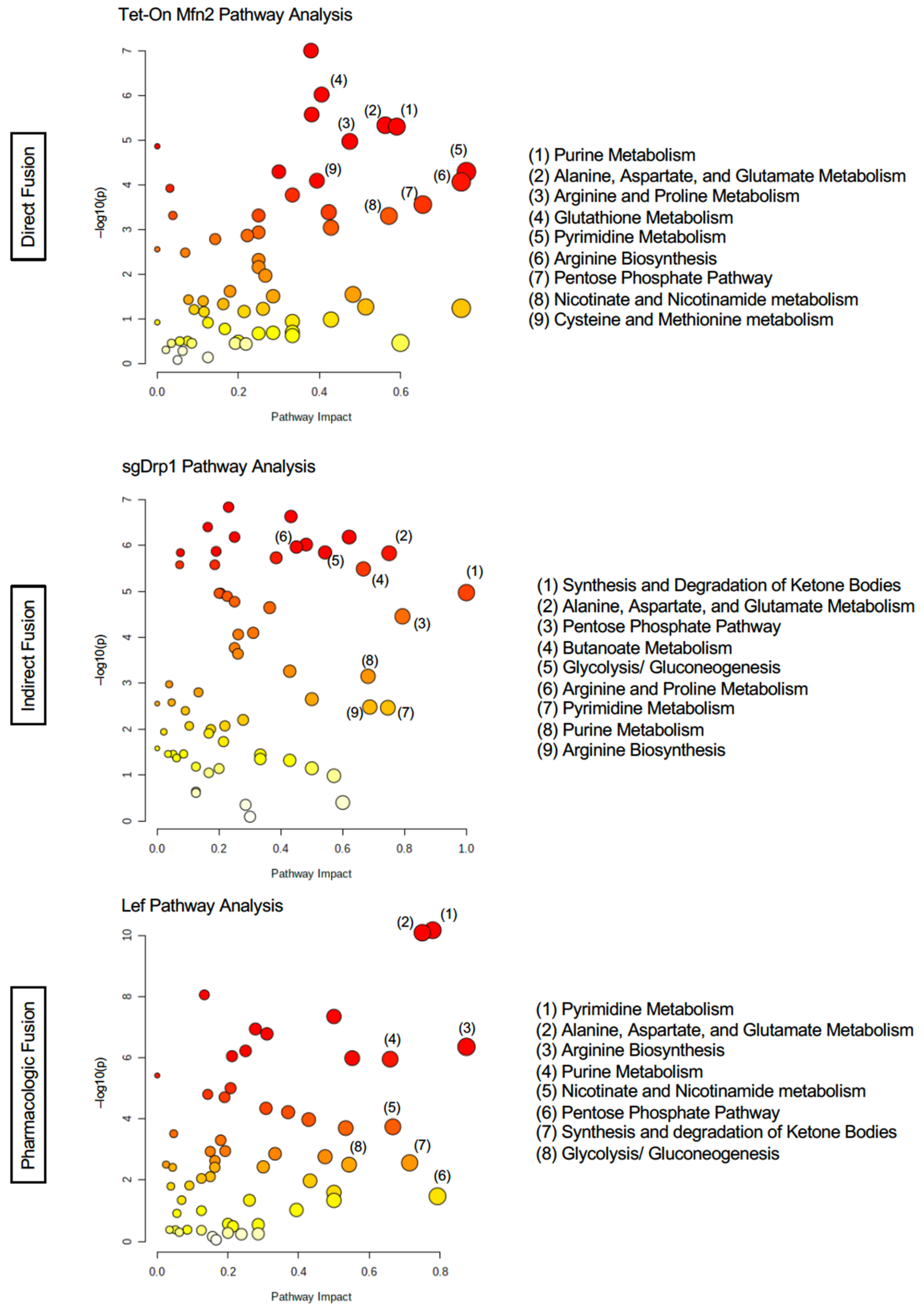Metabolites 11 00627 g004