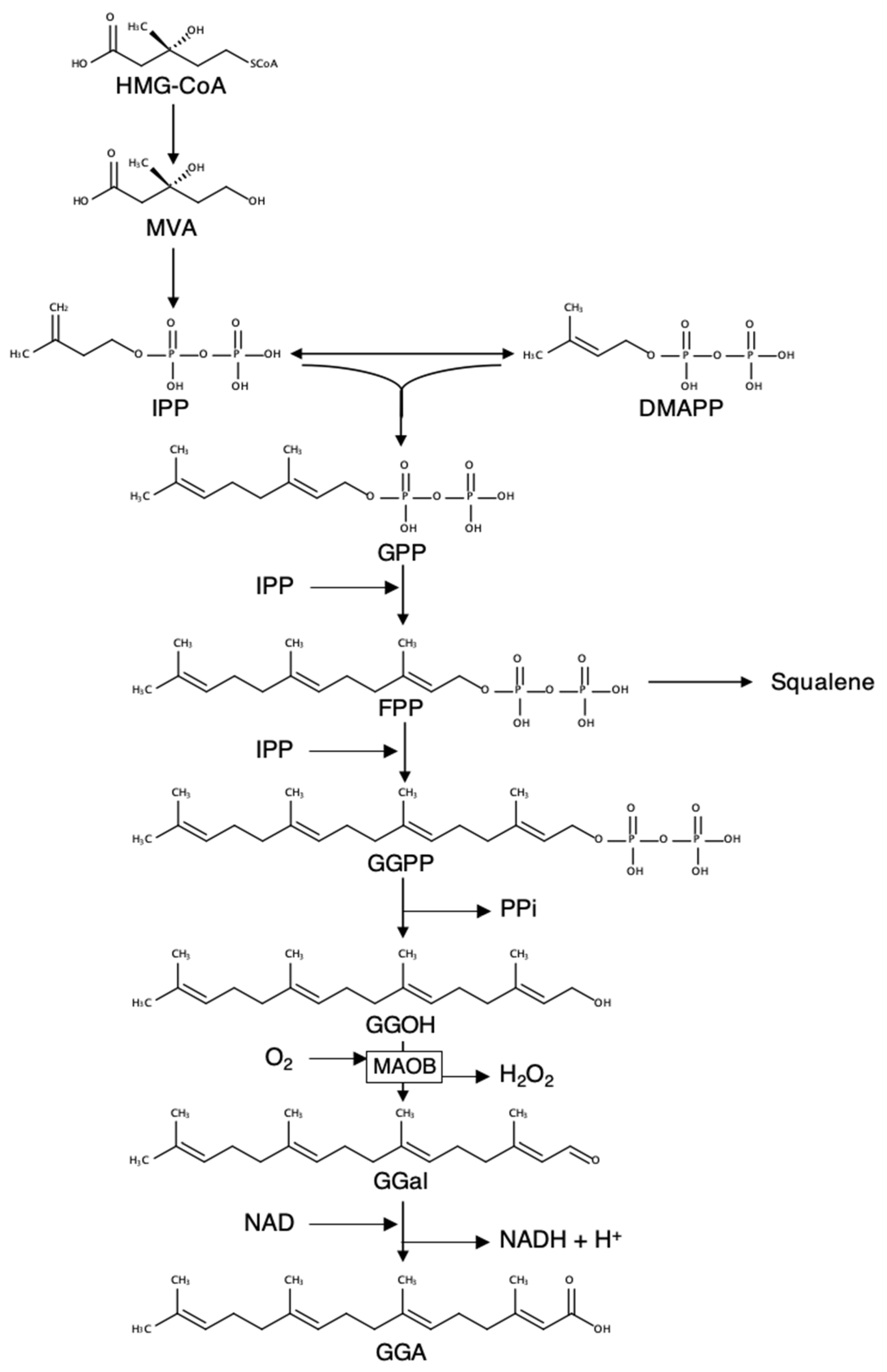 Metabolites 11 00634 g001