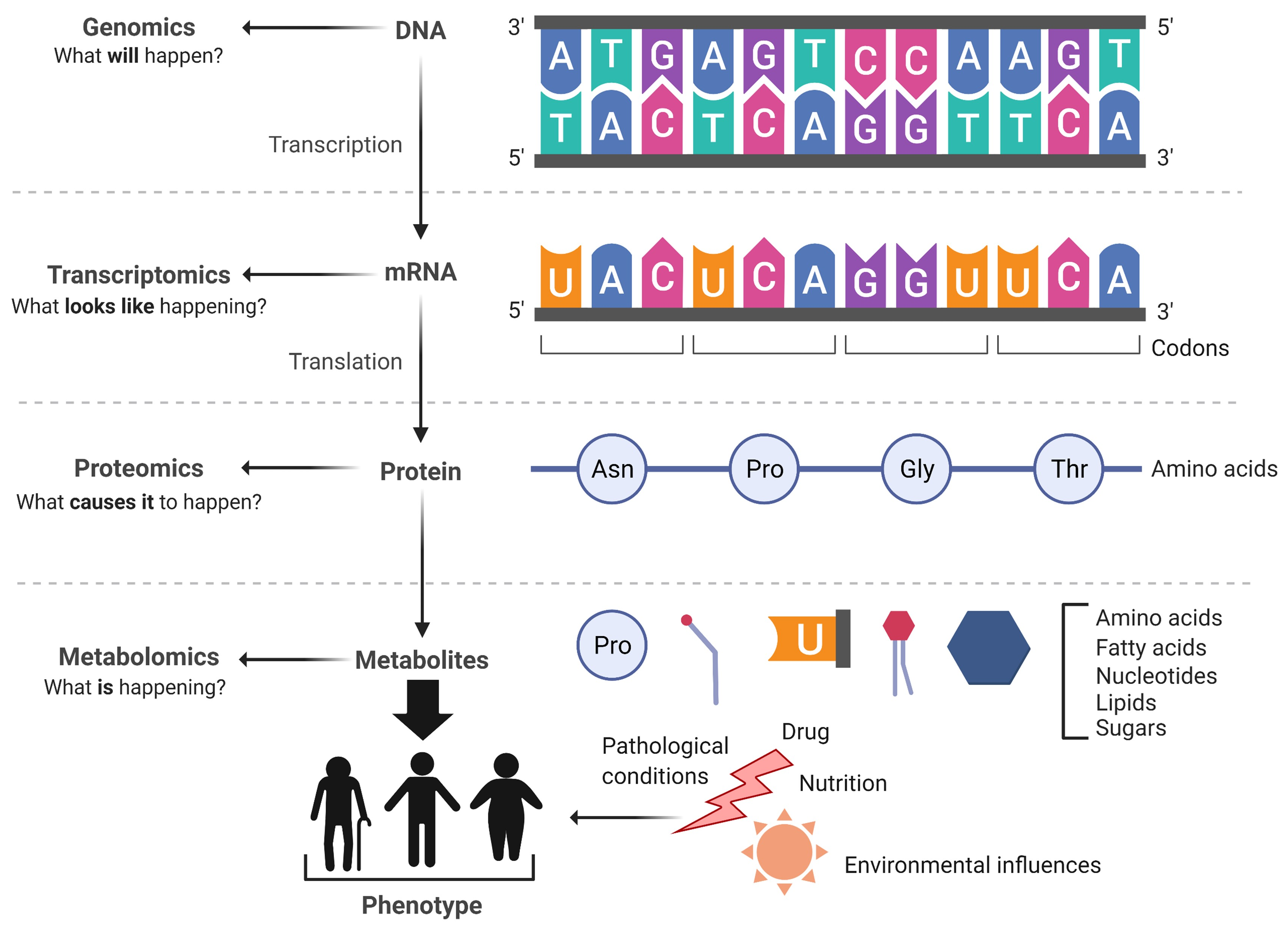 Metabolites 11 00685 g002