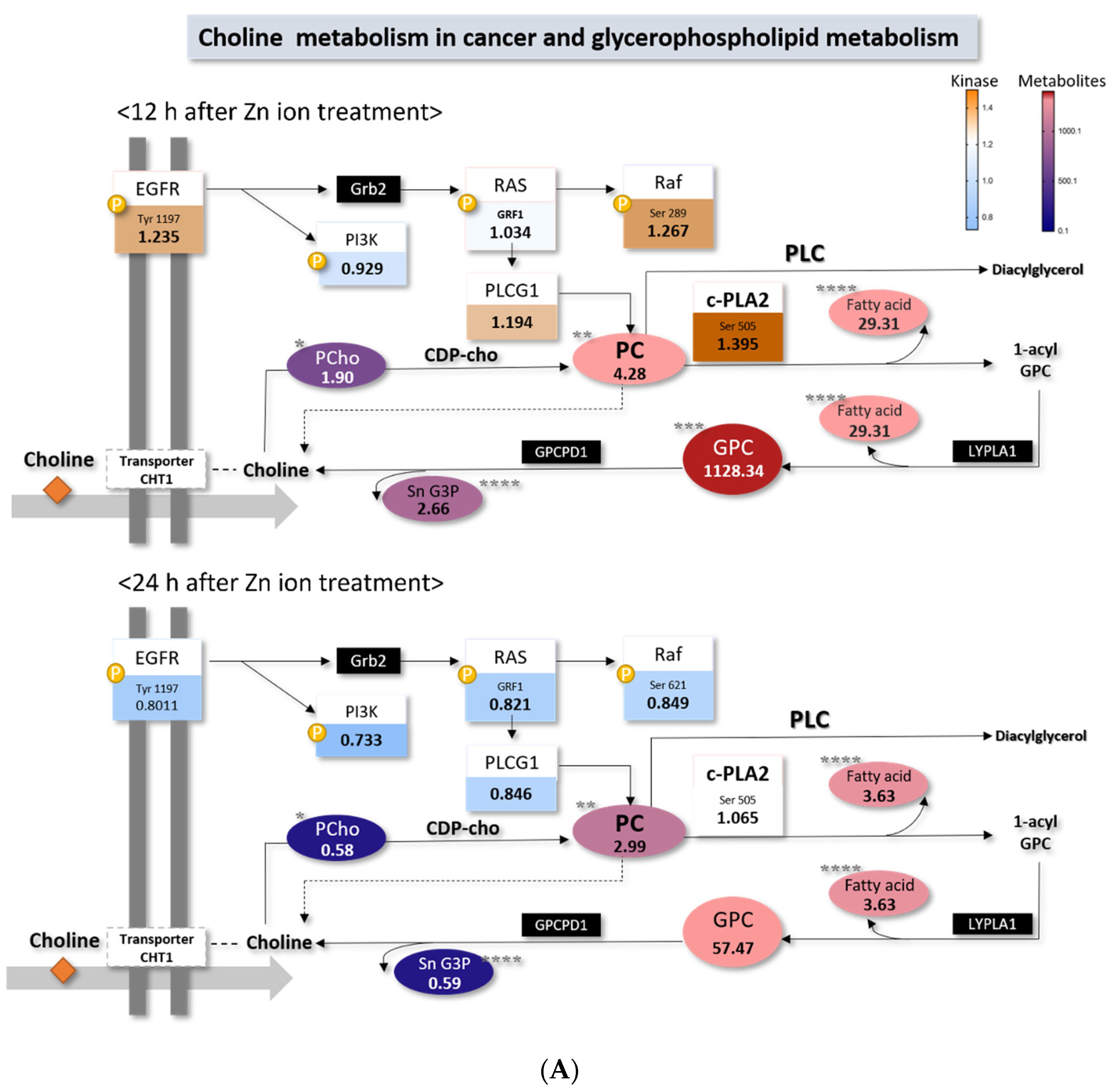 Metabolites 11 00689 g006a