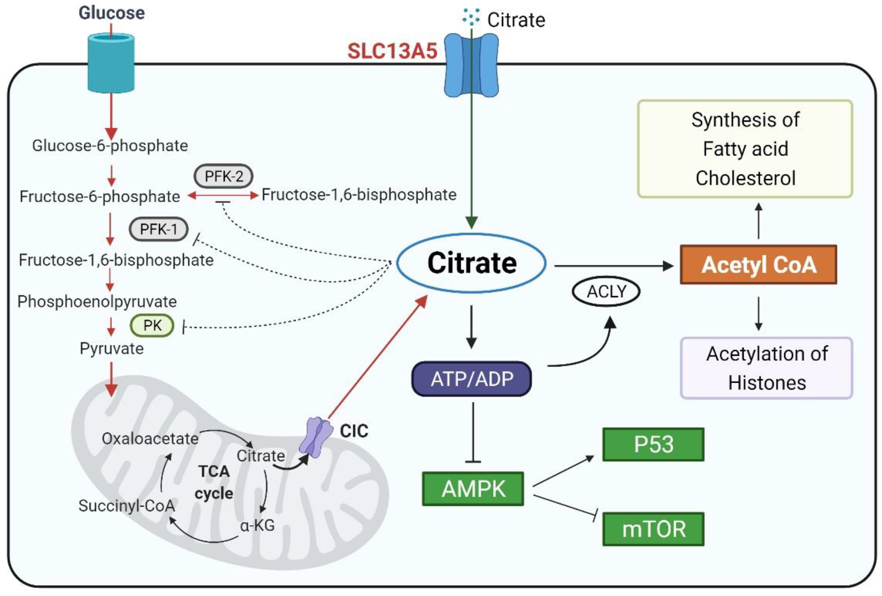 Metabolites 11 00706 g001