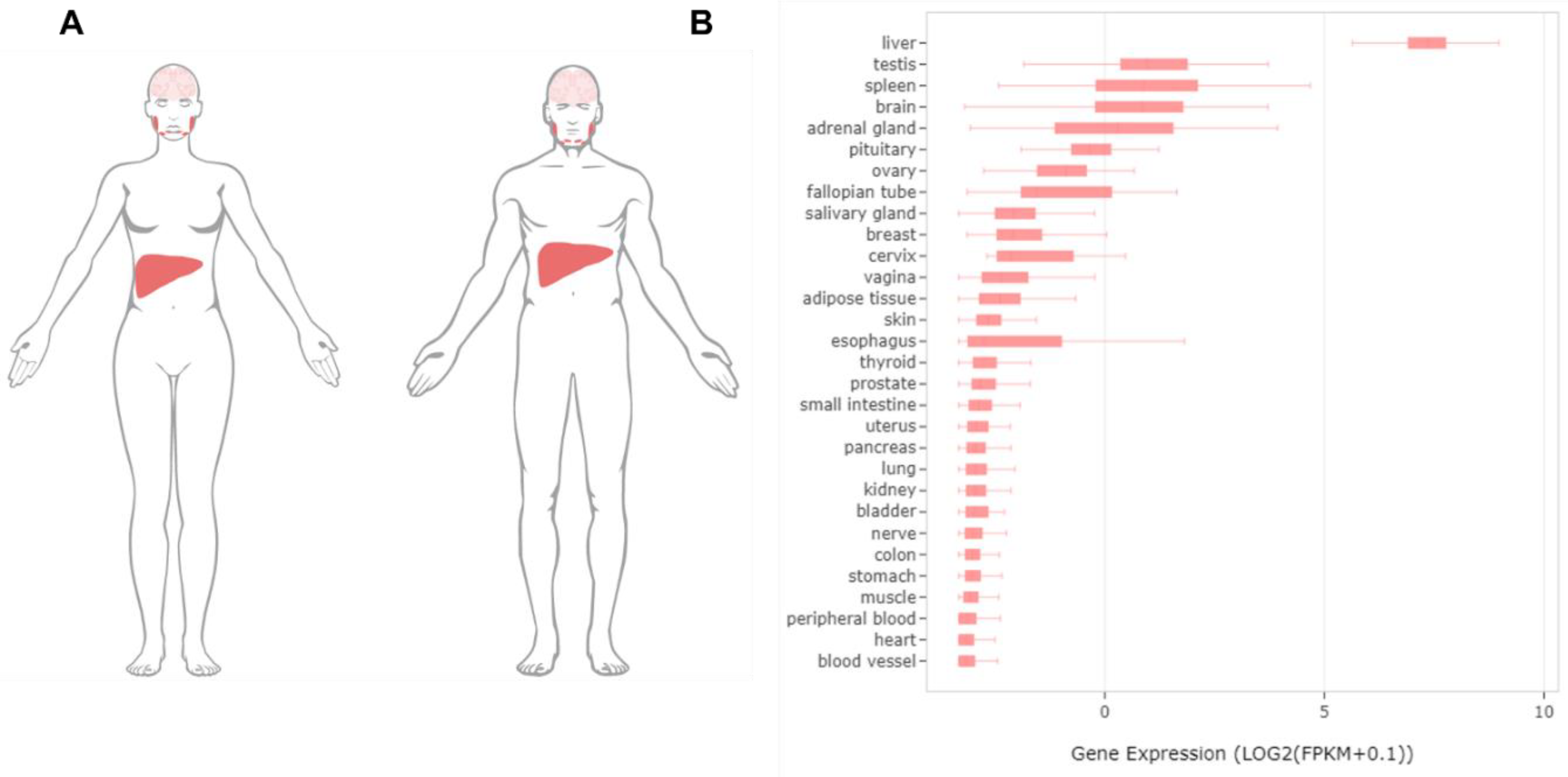 Metabolites 11 00706 g002