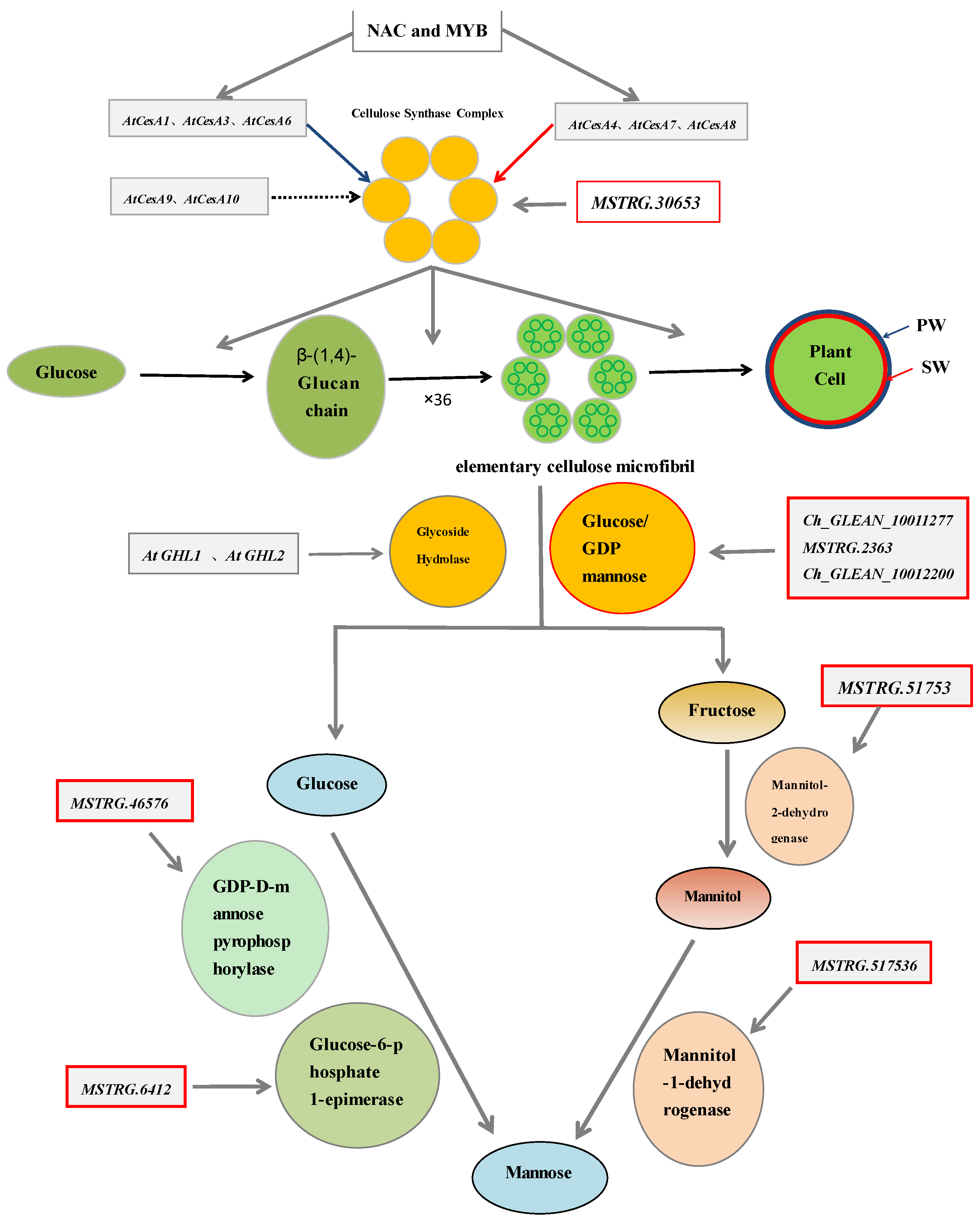 Metabolites 11 00725 g001