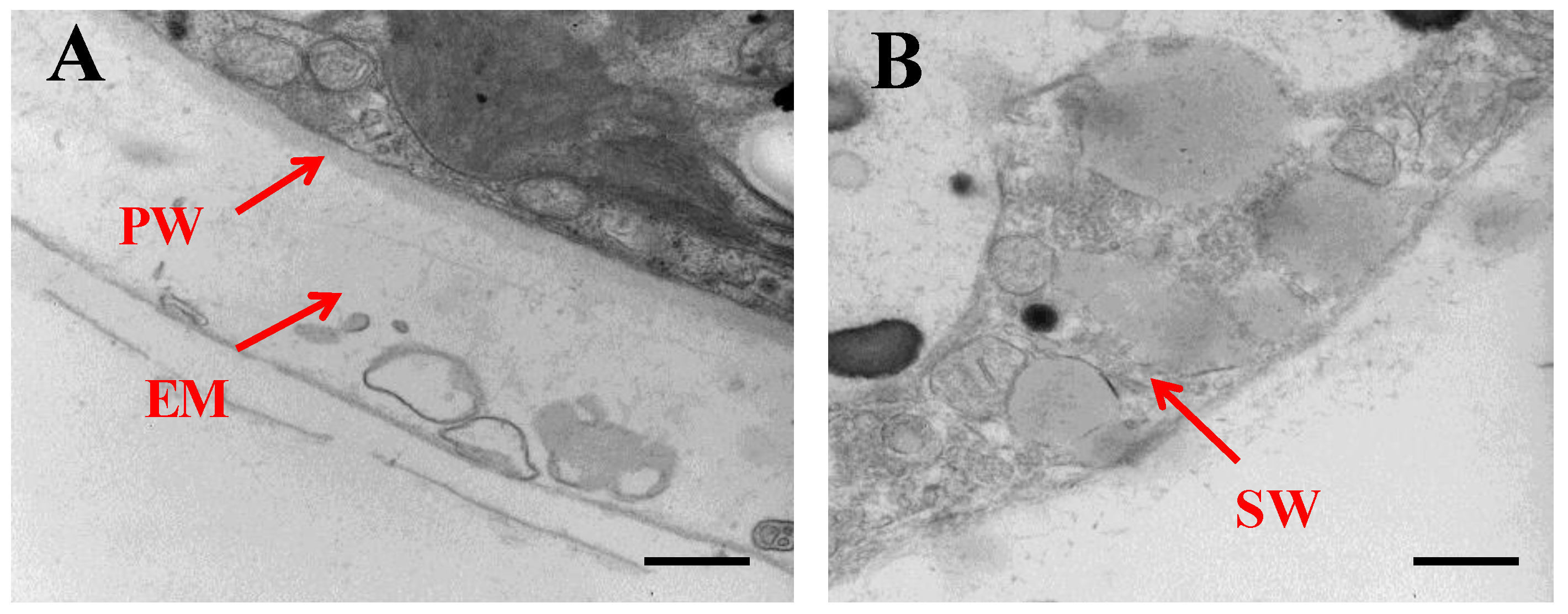 Metabolites 11 00725 g002