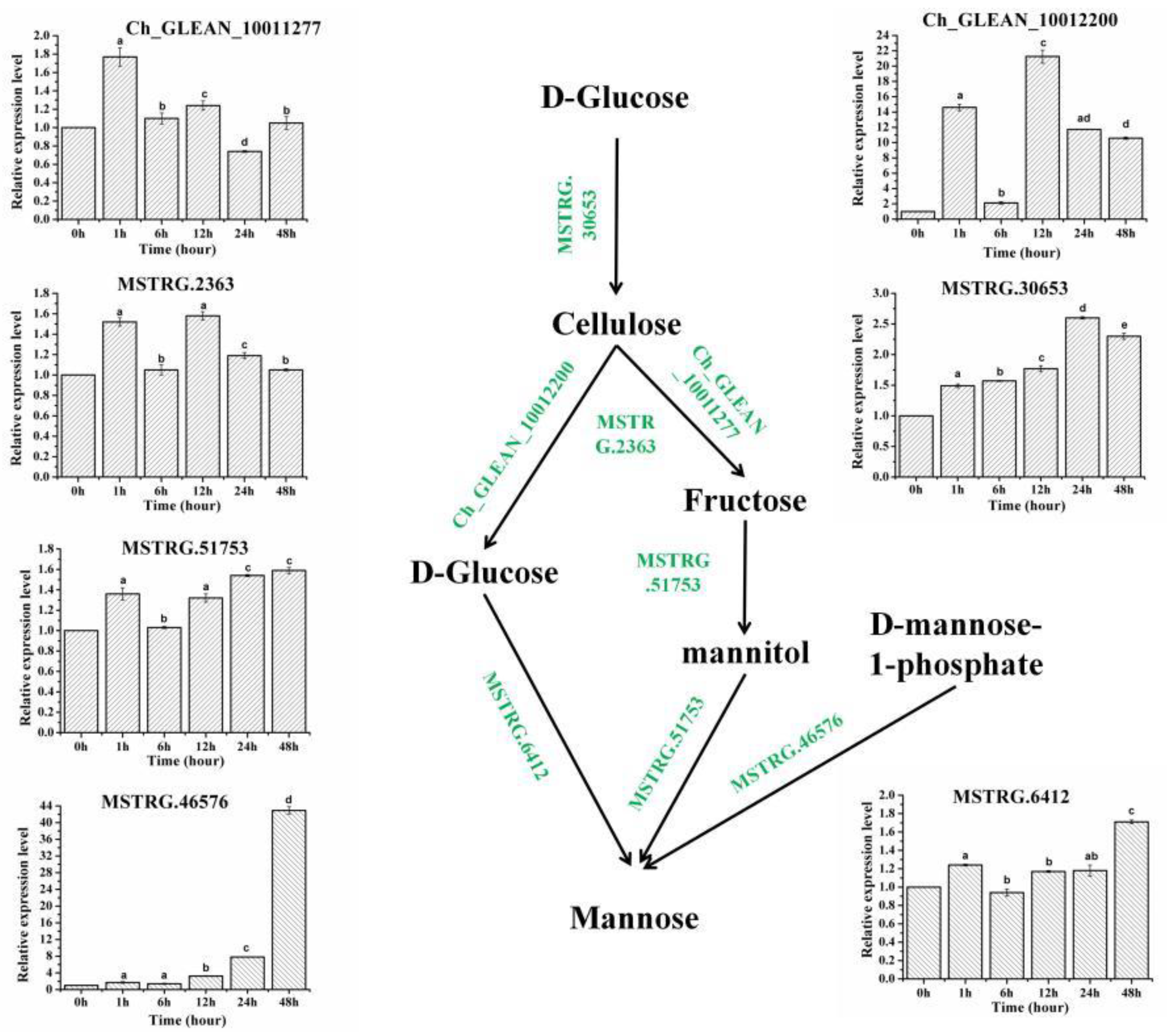 Metabolites 11 00725 g003