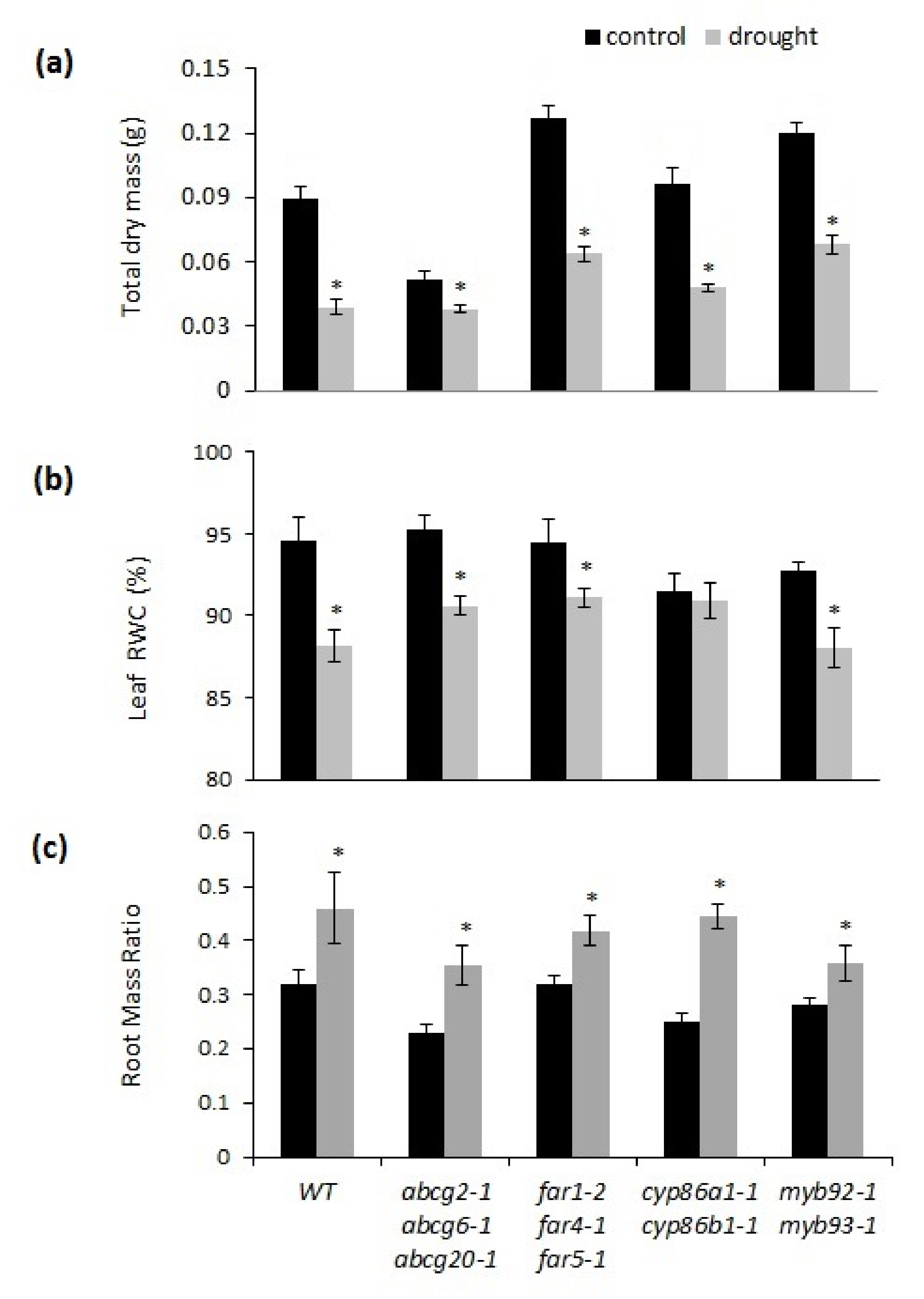Metabolites 11 00735 g003