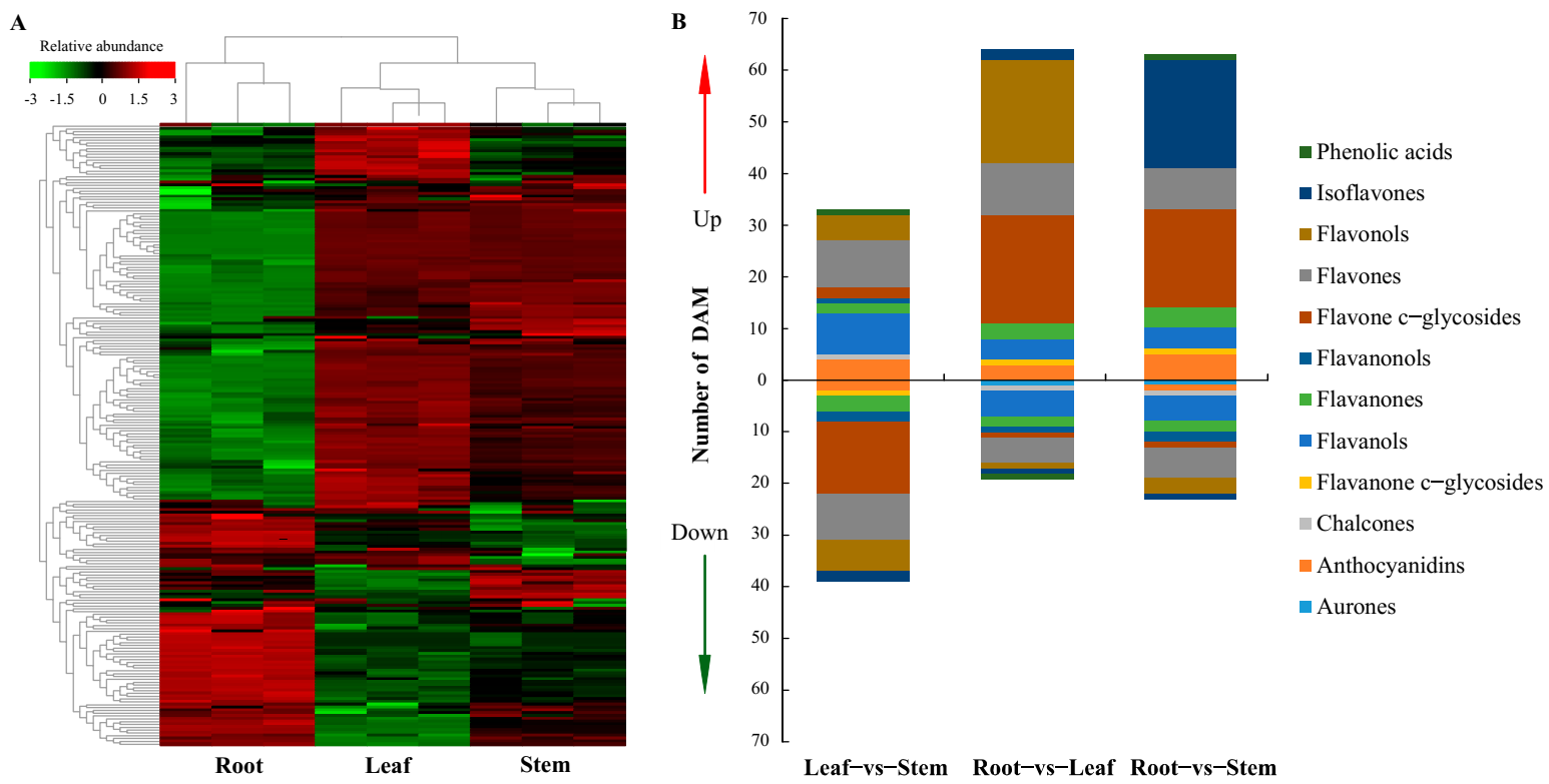 Metabolites 11 00741 g003
