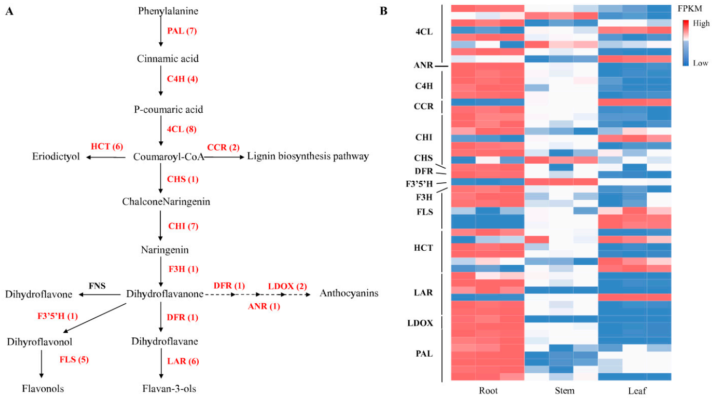 Metabolites 11 00741 g004