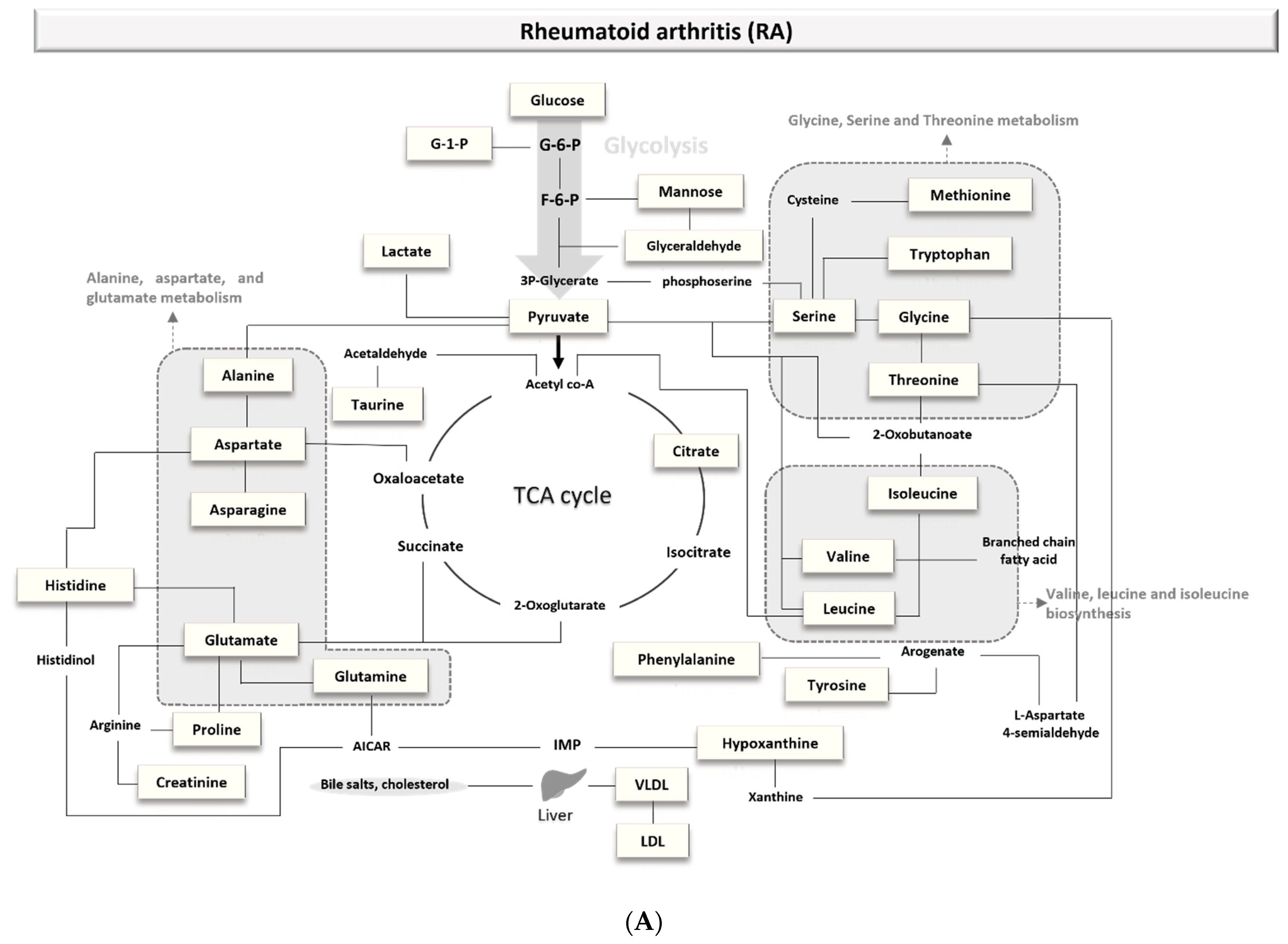 Metabolites 11 00812 g002a