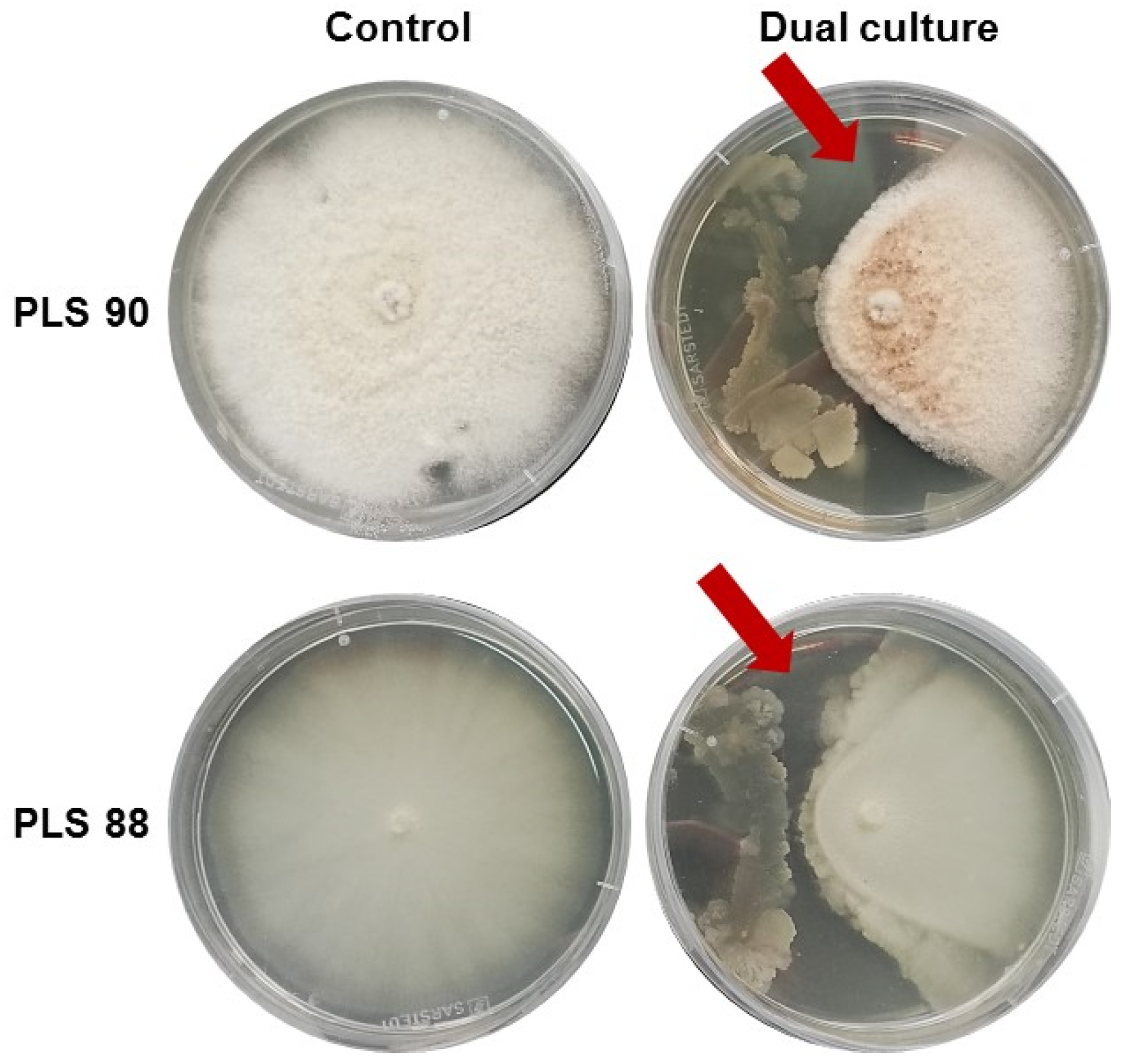 Metabolites 11 00833 g001