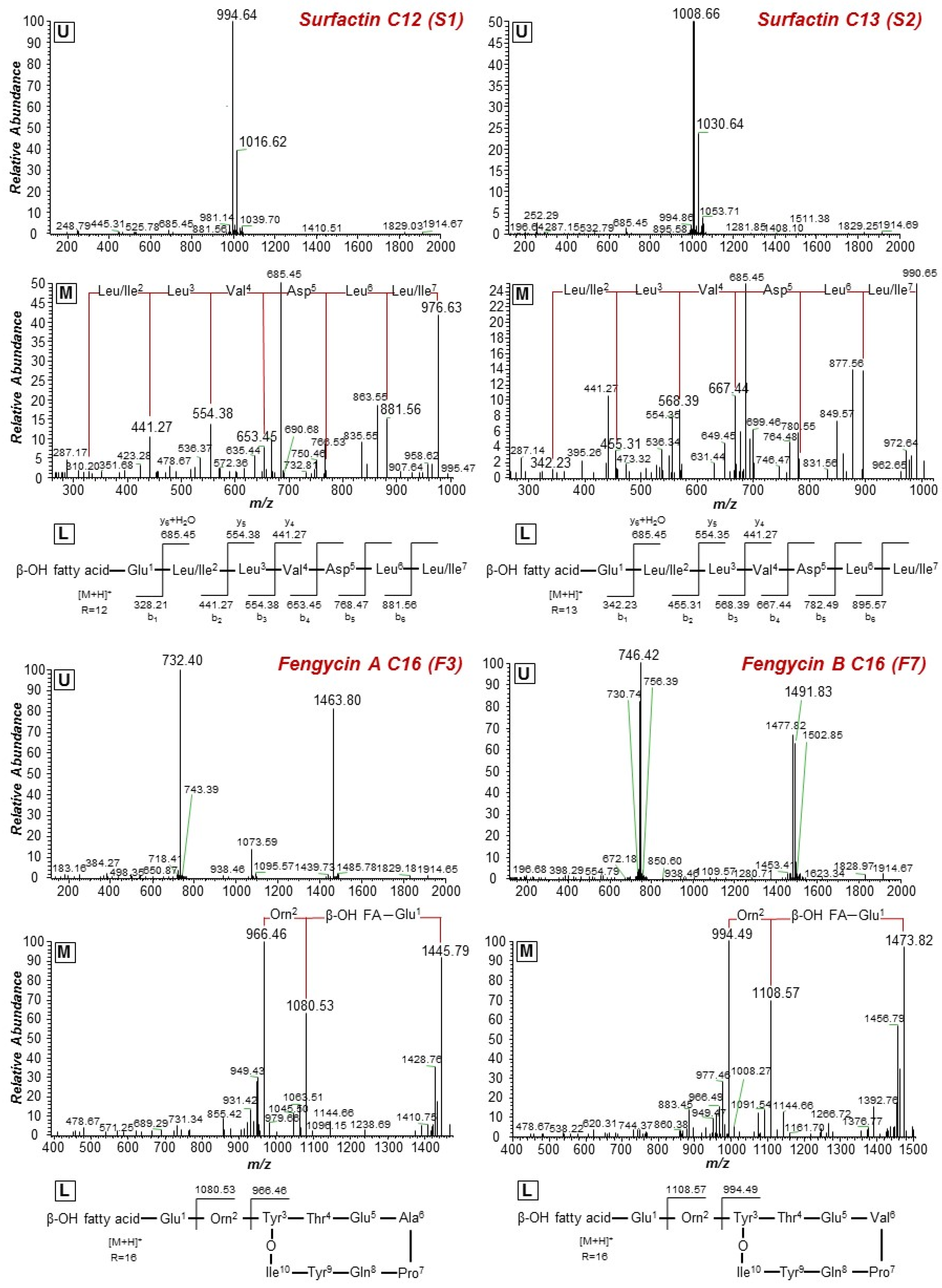Metabolites 11 00833 g003