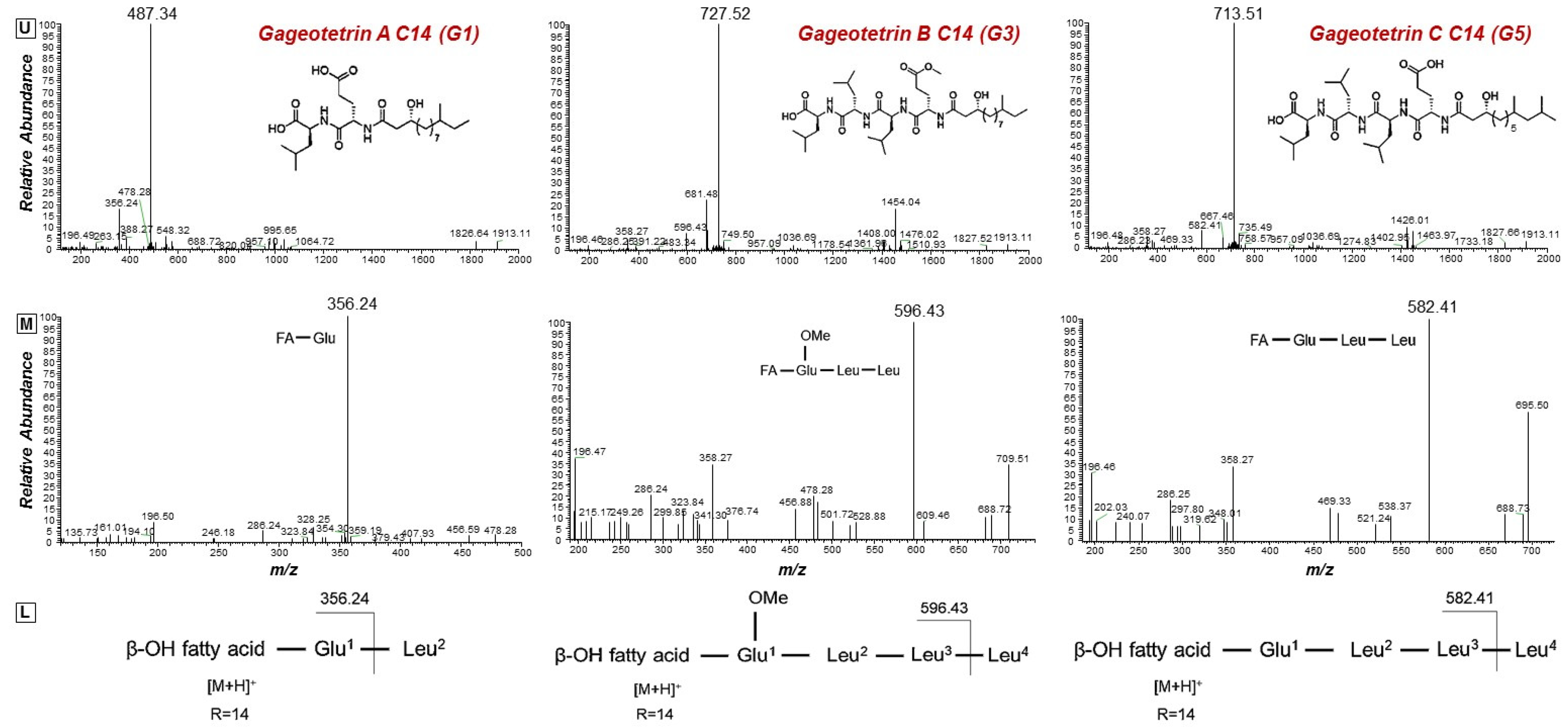Metabolites 11 00833 g004