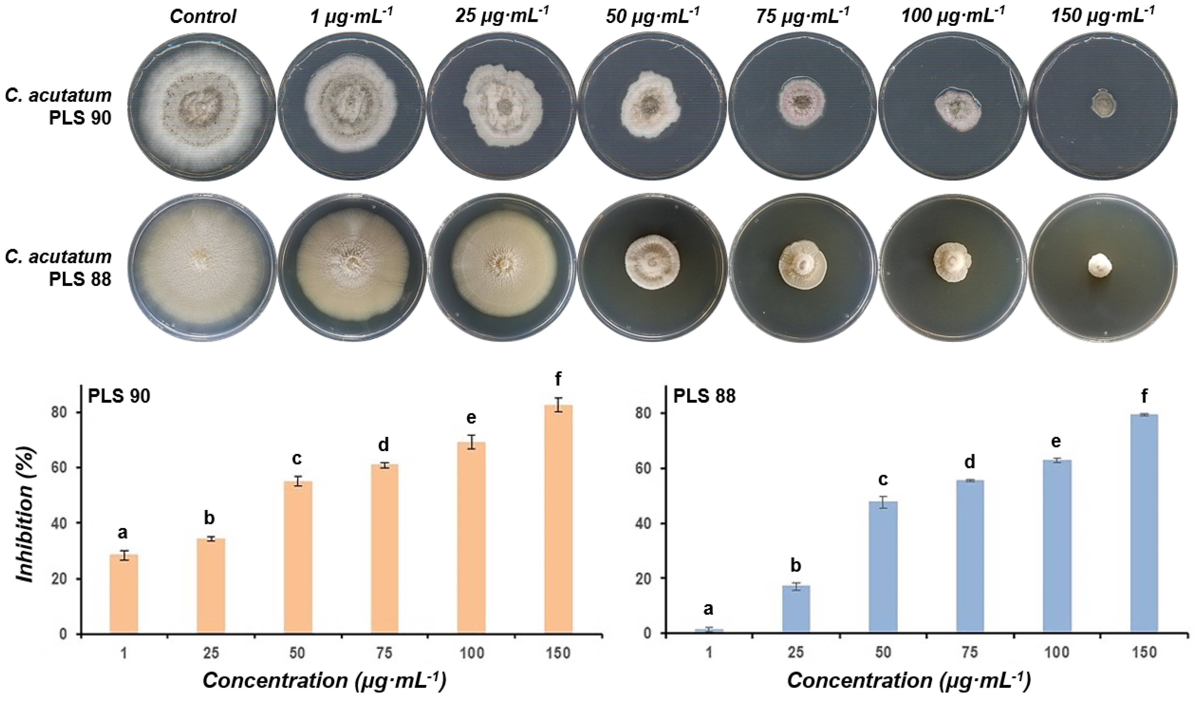 Metabolites 11 00833 g005
